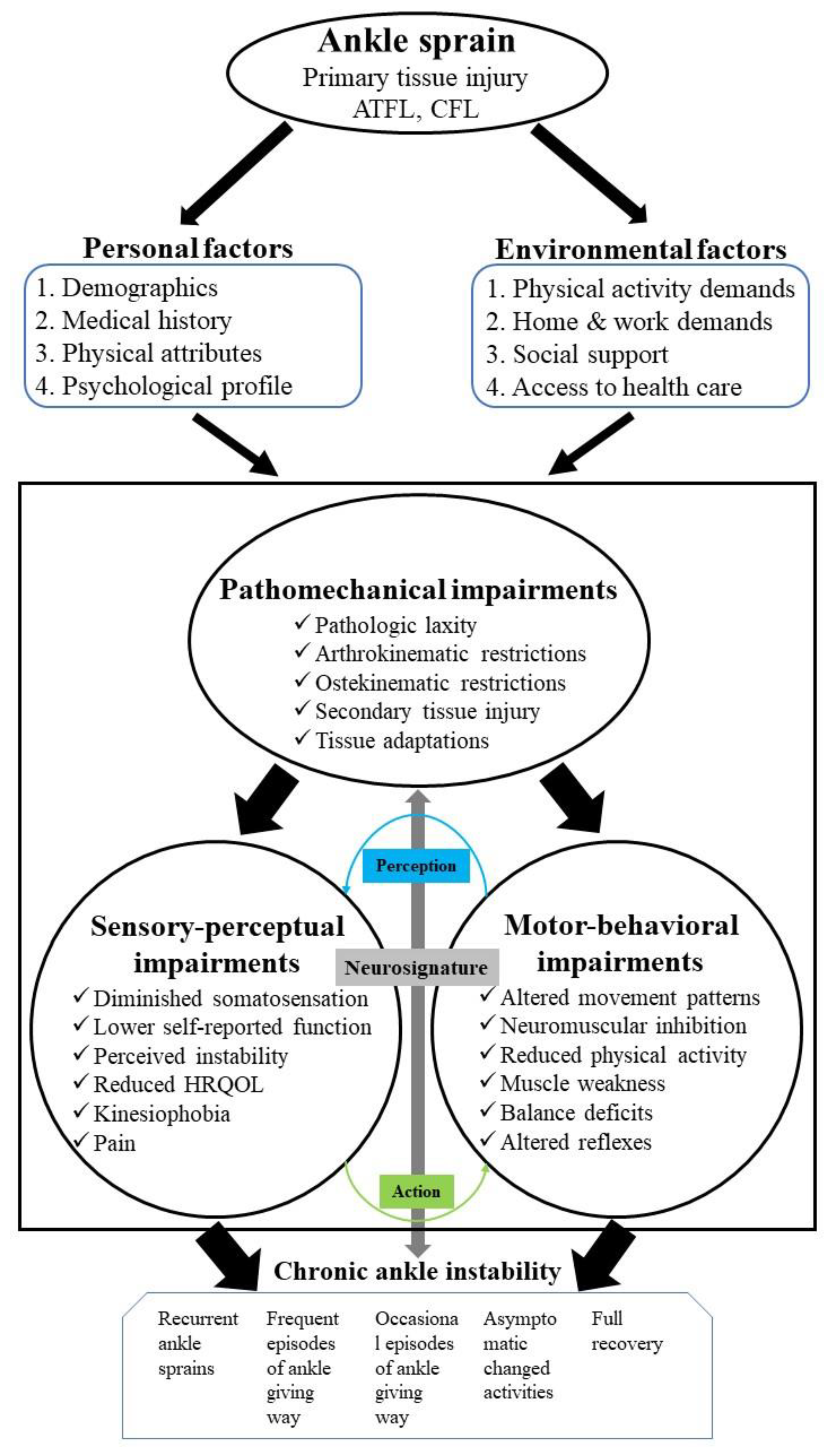 Bioengineering 09 00068 g001