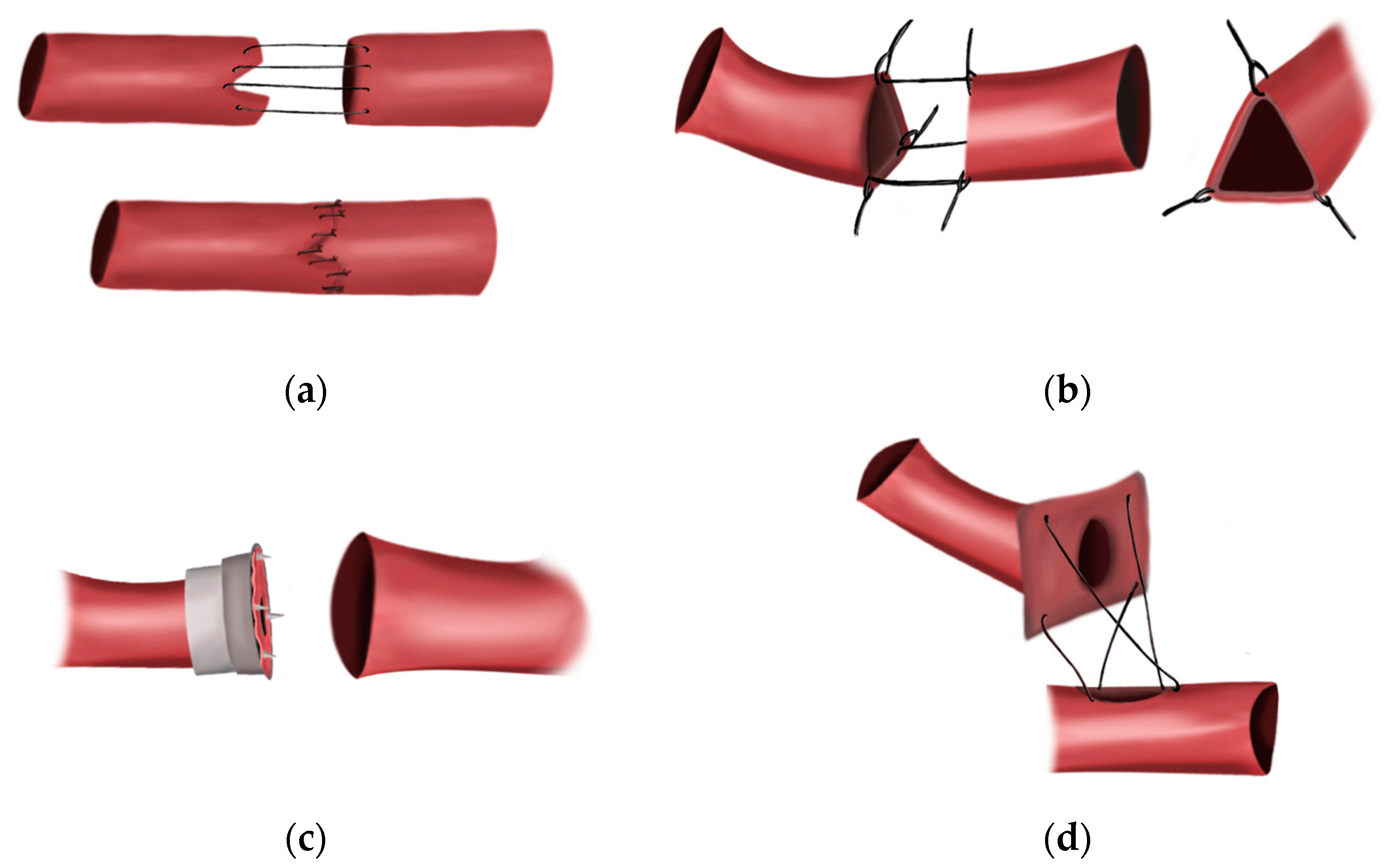 Bioengineering 09 00075 g001 Bioengineering 09 00075 g001