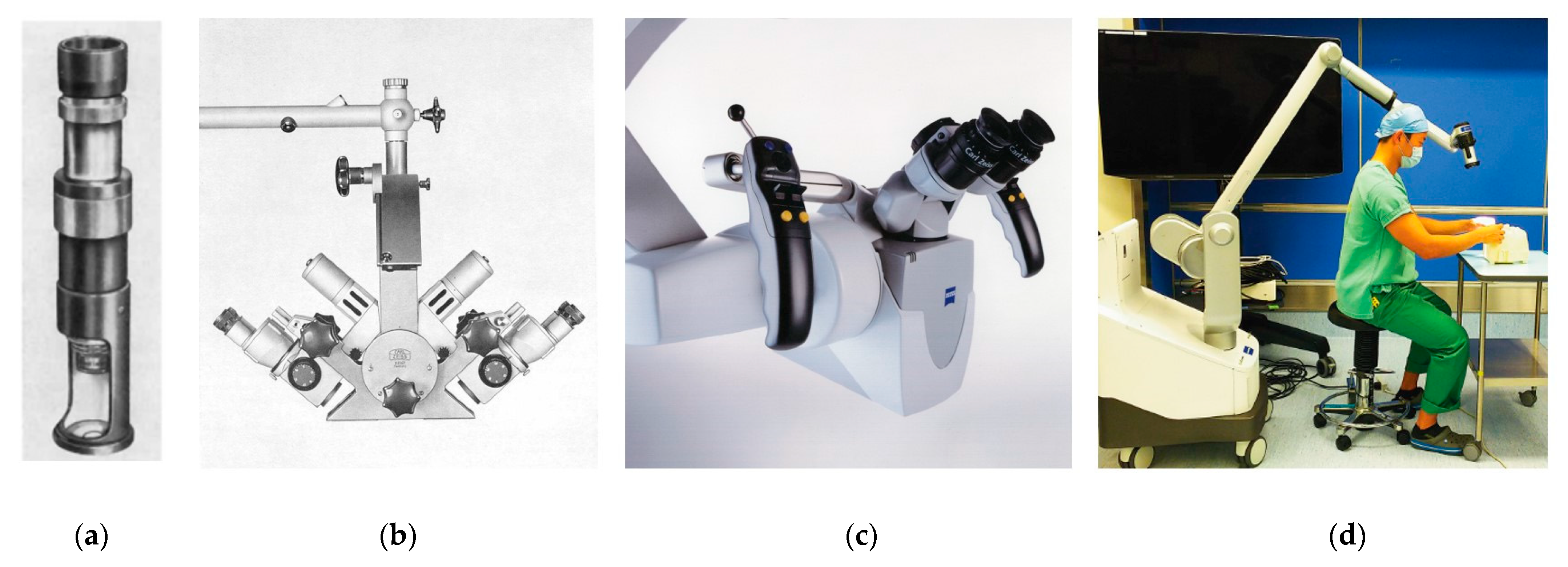 Bioengineering 09 00075 g003 Bioengineering 09 00075 g003