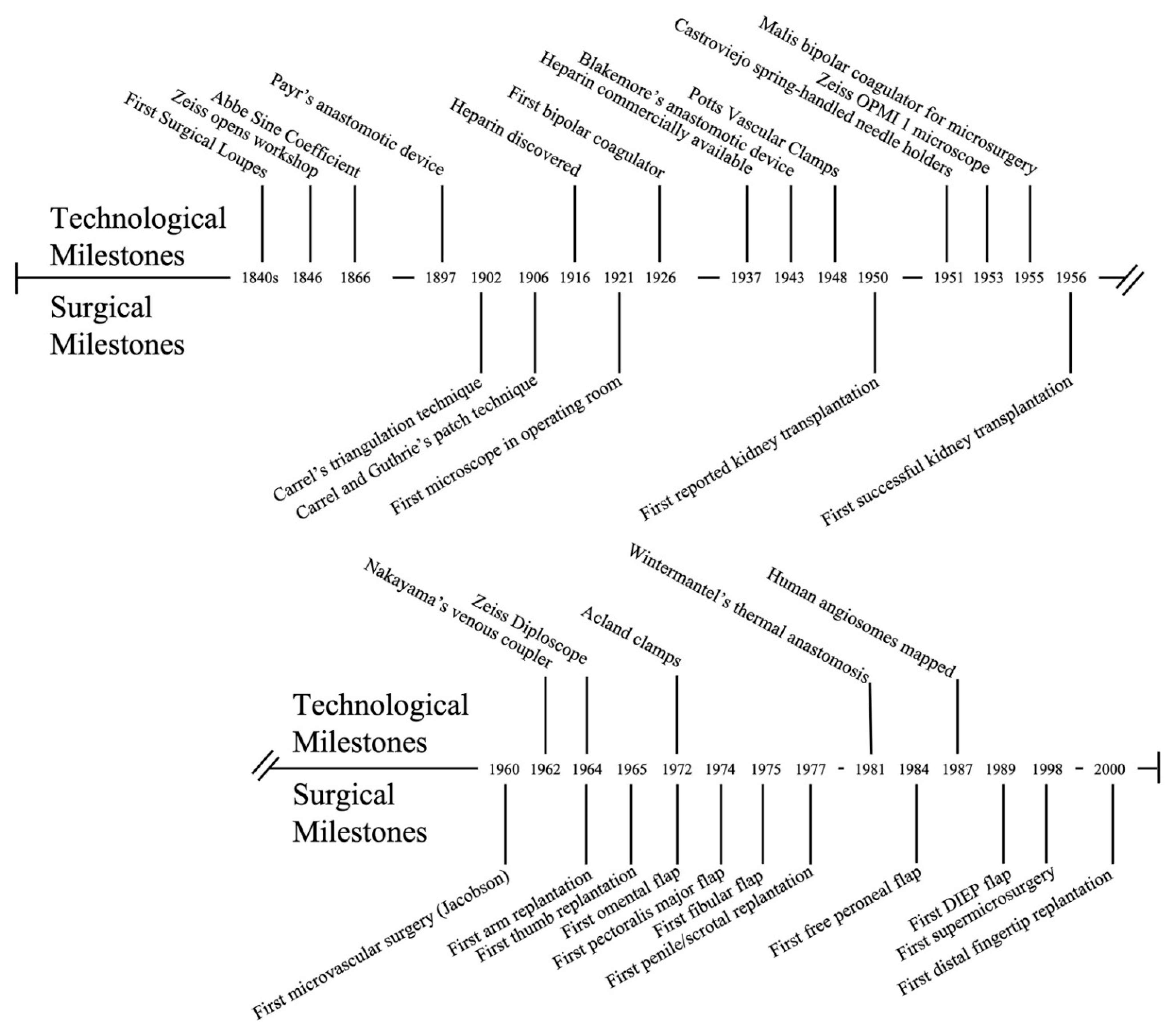 Bioengineering 09 00075 g004 Bioengineering 09 00075 g004