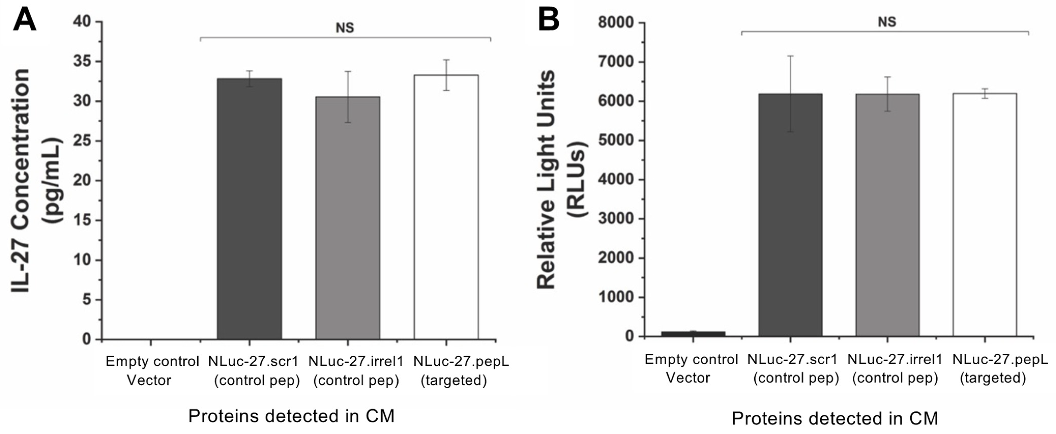 Bioengineering 09 00077 g003