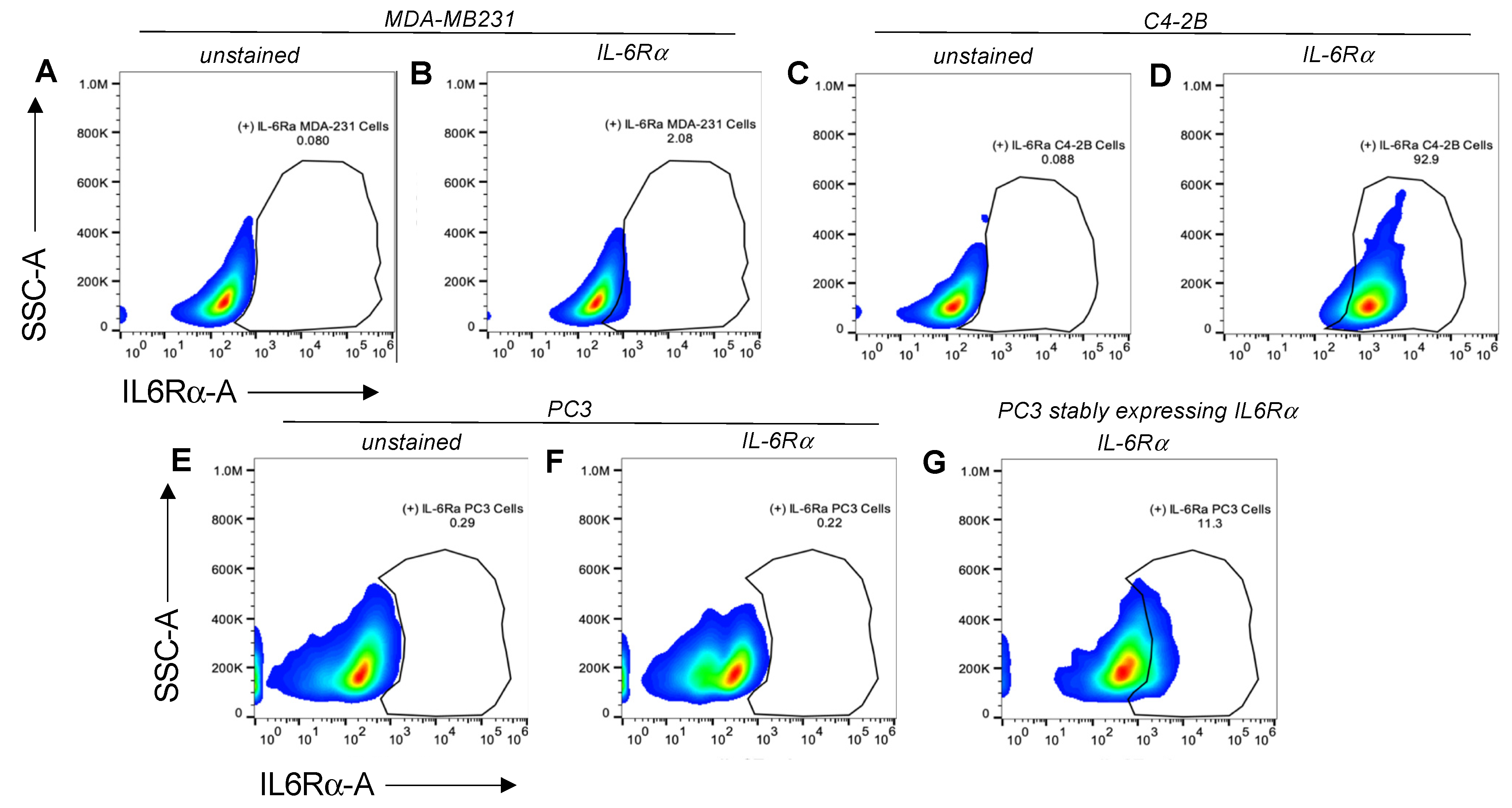 Bioengineering 09 00077 g005