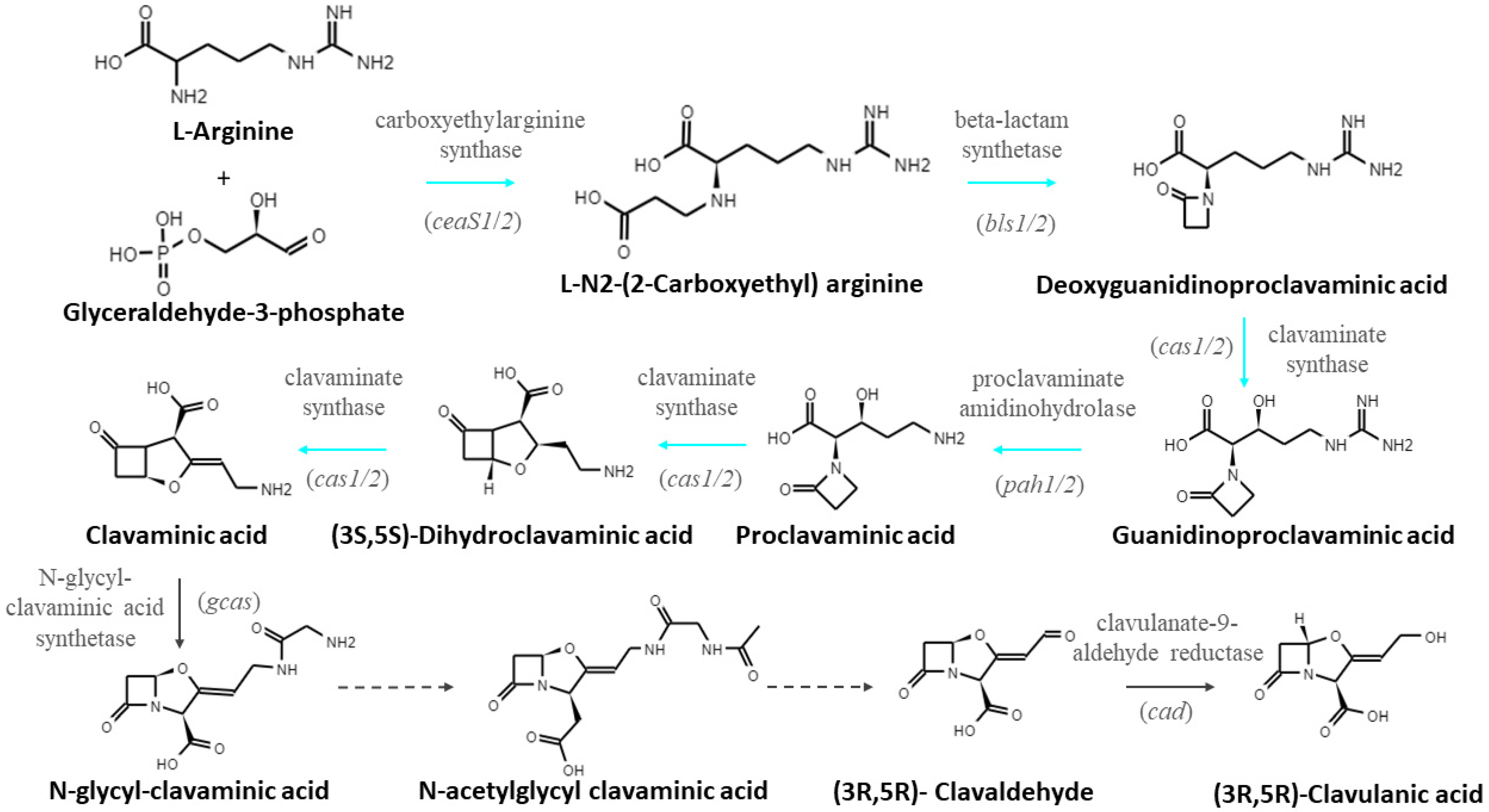 Bioengineering 09 00078 g001