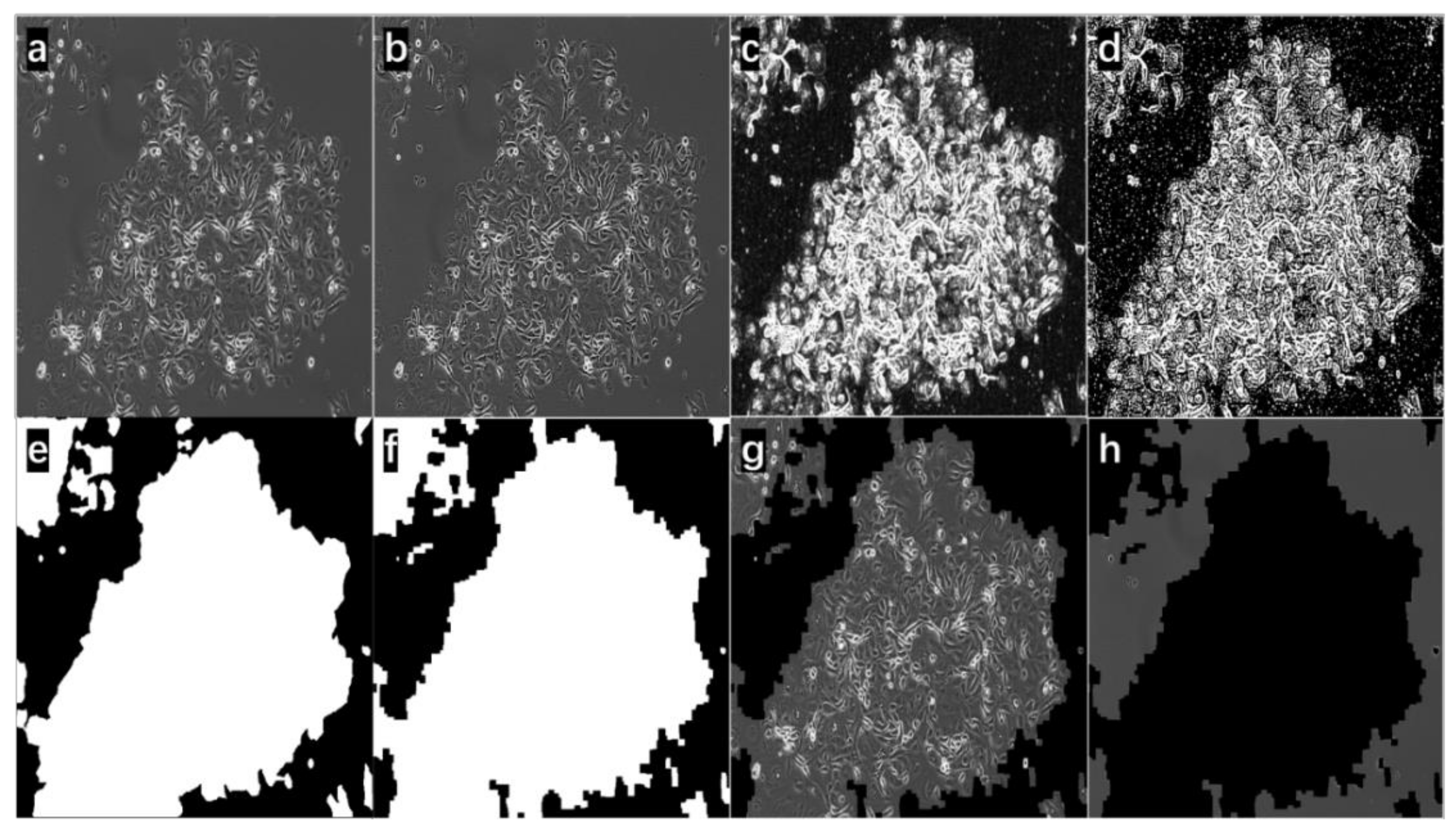 Bioengineering 09 00081 g004 550
