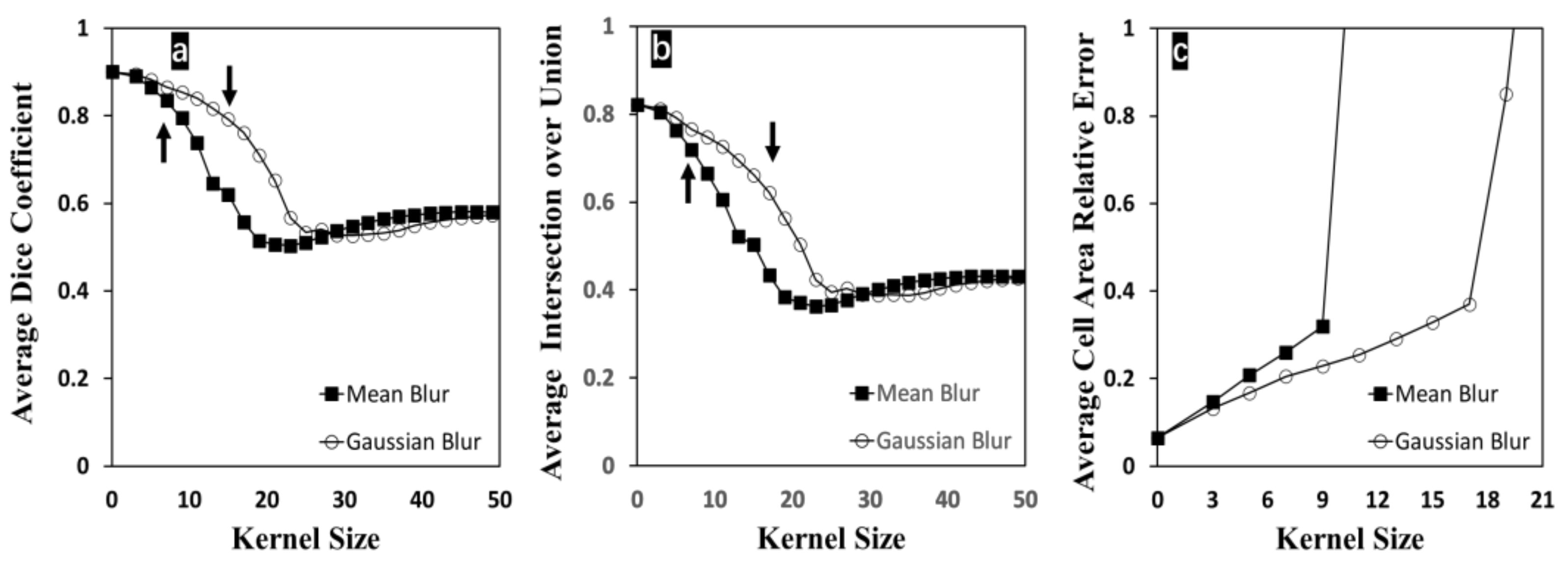 Bioengineering 09 00081 g005 550