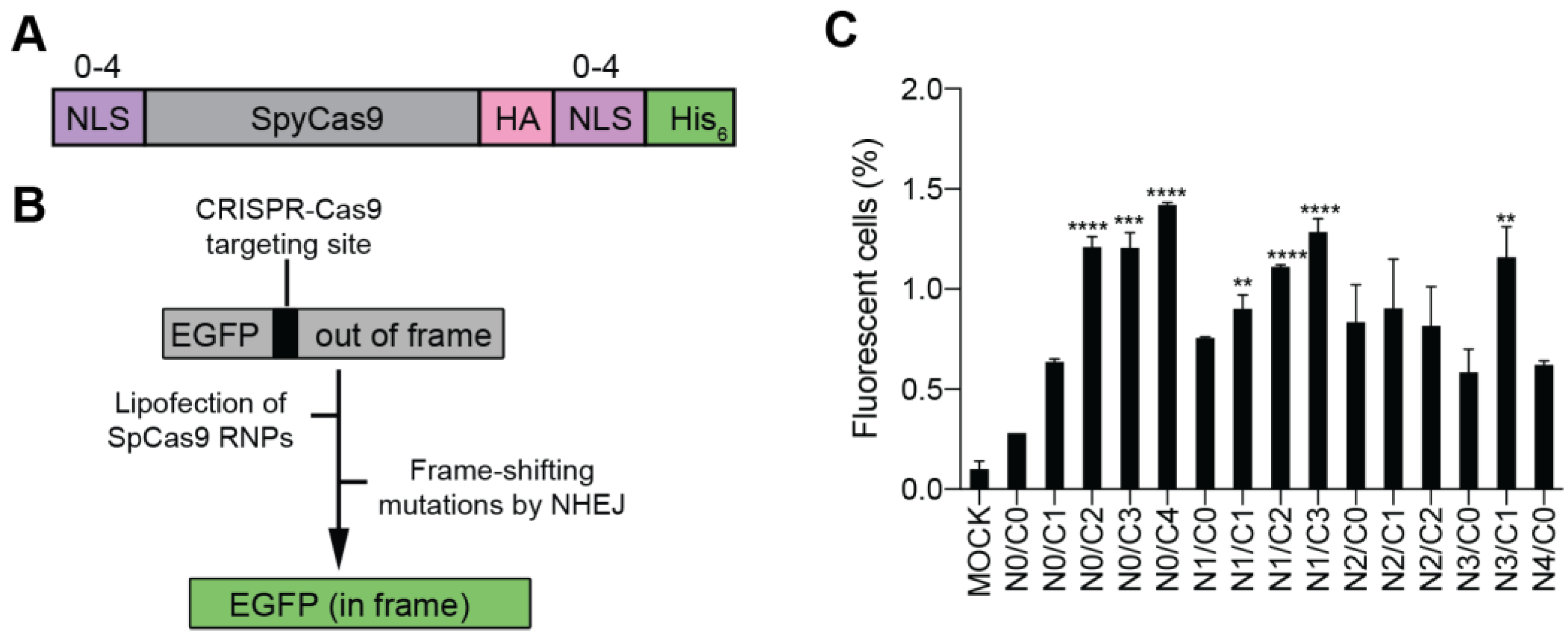 Bioengineering 09 00083 g002 550