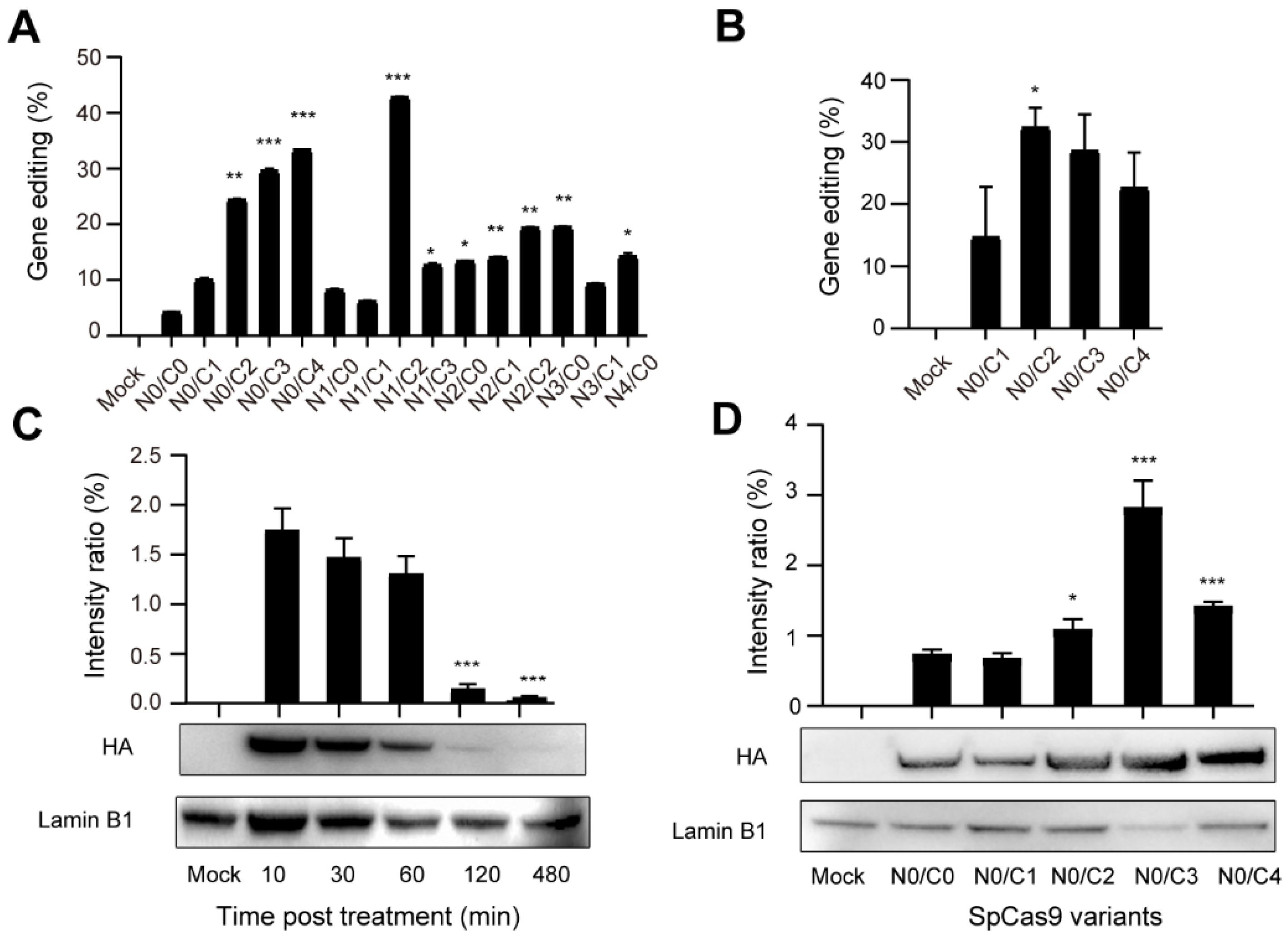 Bioengineering 09 00083 g003 550