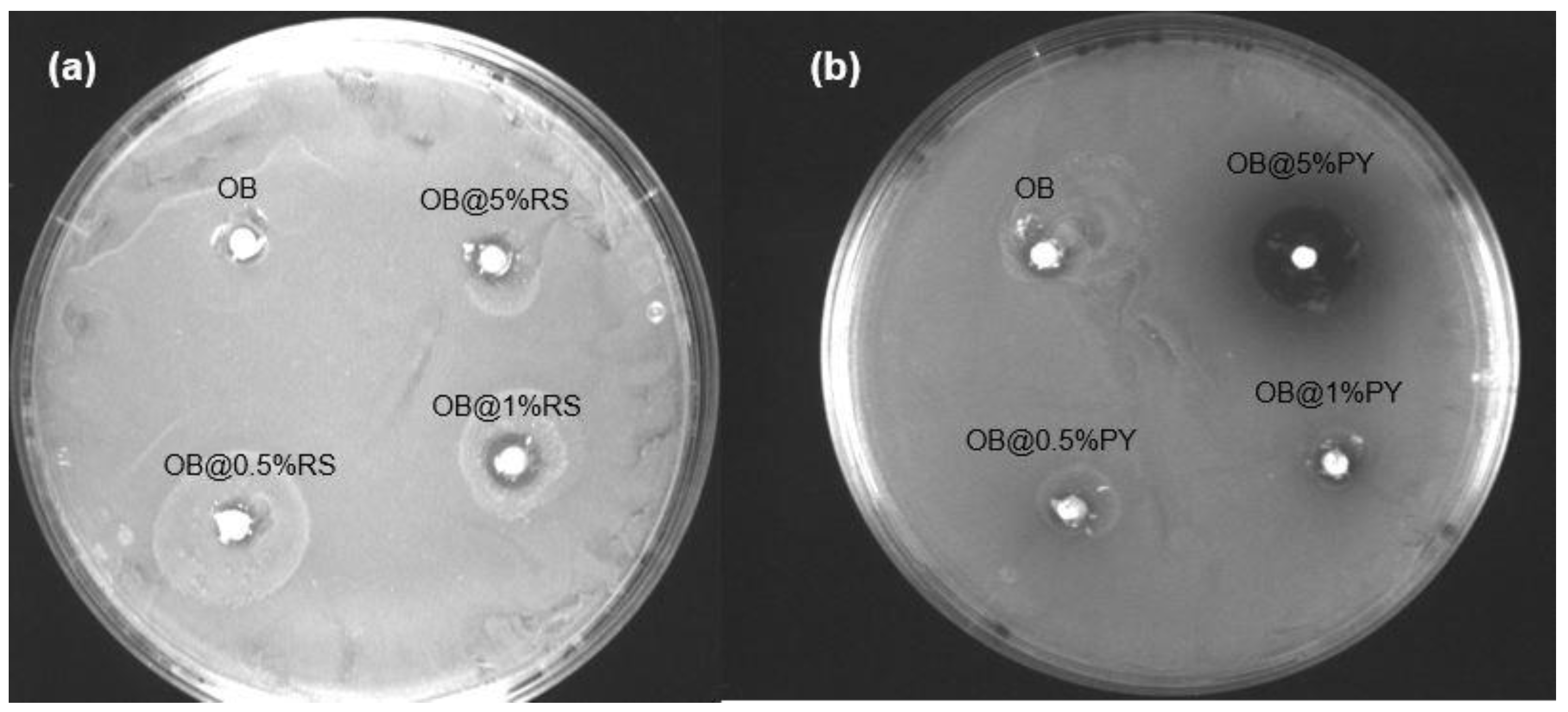 Bioengineering 09 00085 g001