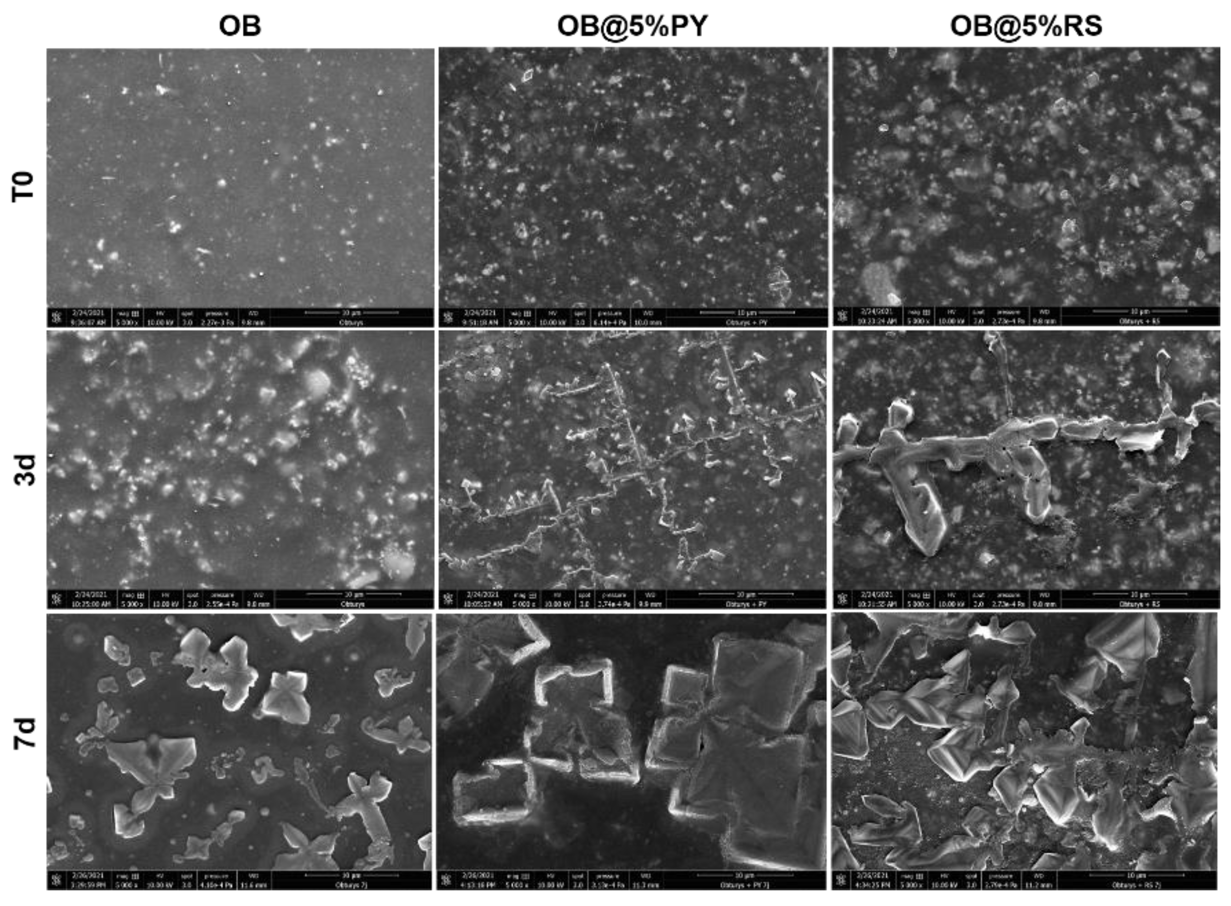 Bioengineering 09 00085 g006