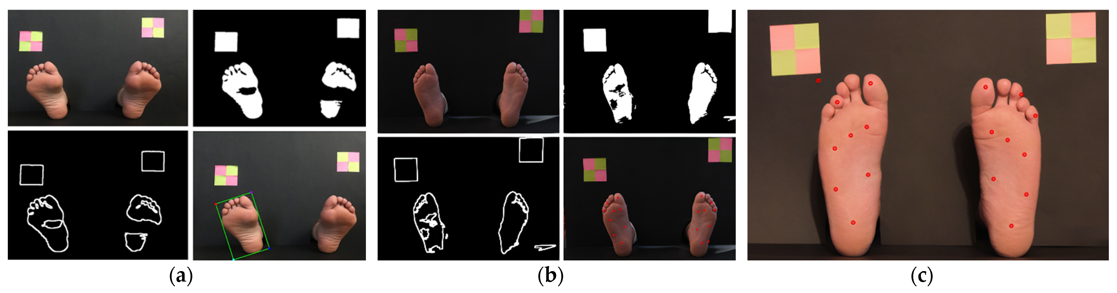 Bioengineering 09 00086 g010