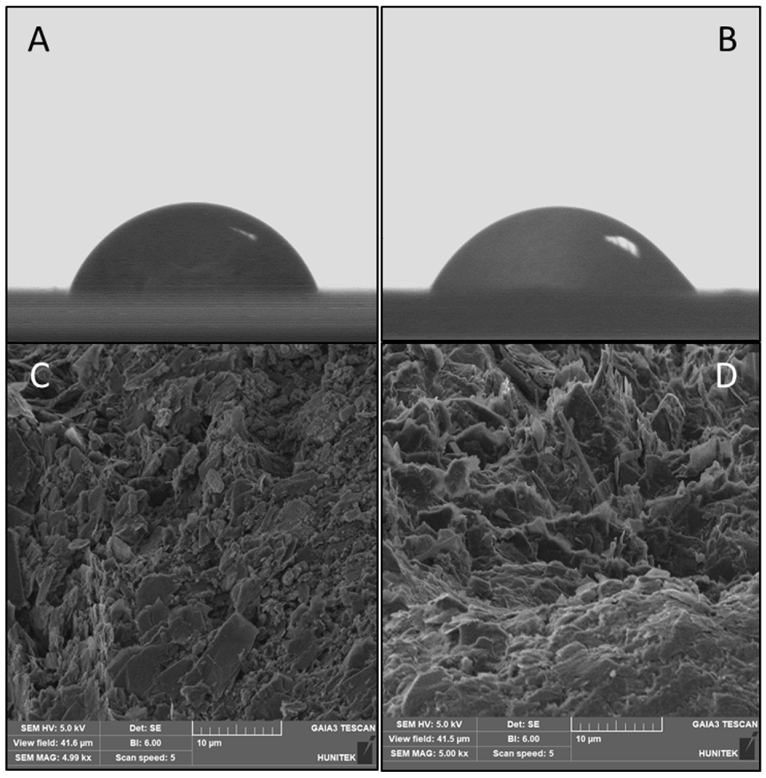 Bioengineering 09 00087 g002 550
