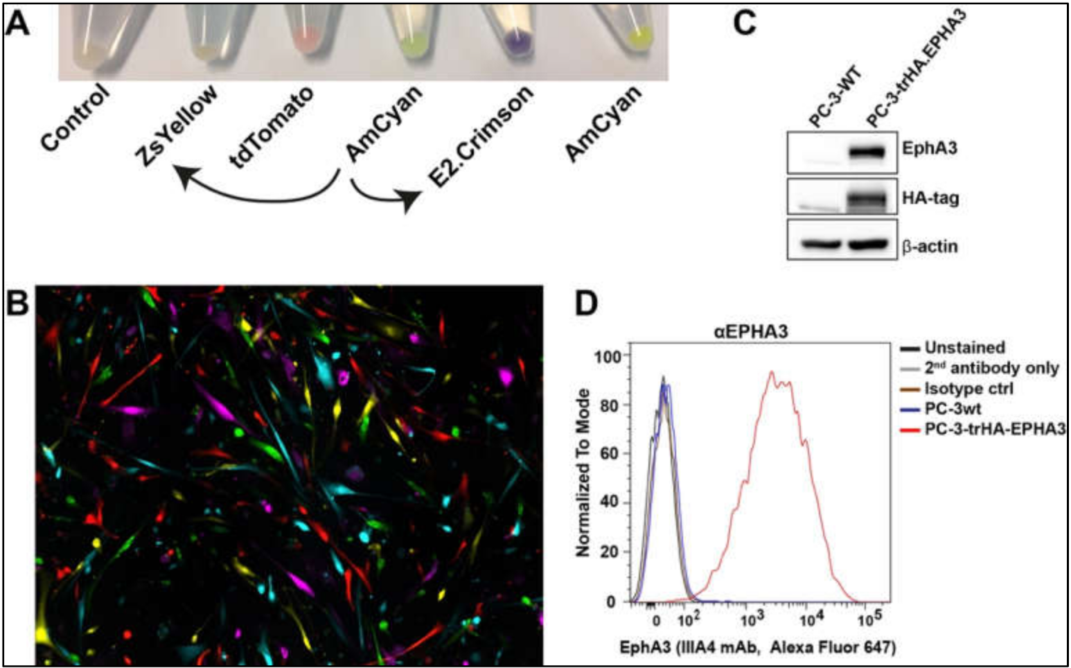 Bioengineering 09 00091 g005 550