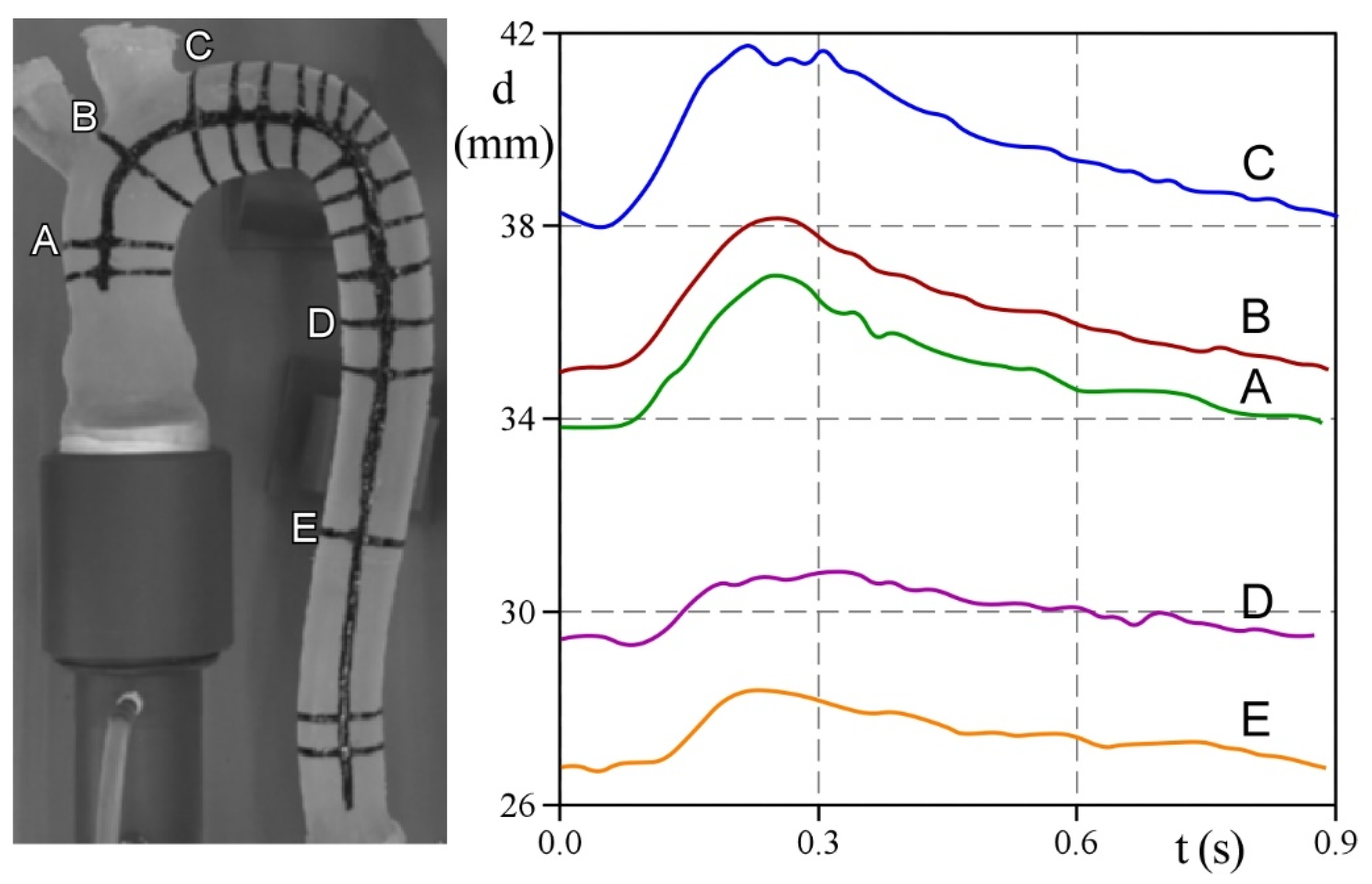 Bioengineering 09 00094 g006