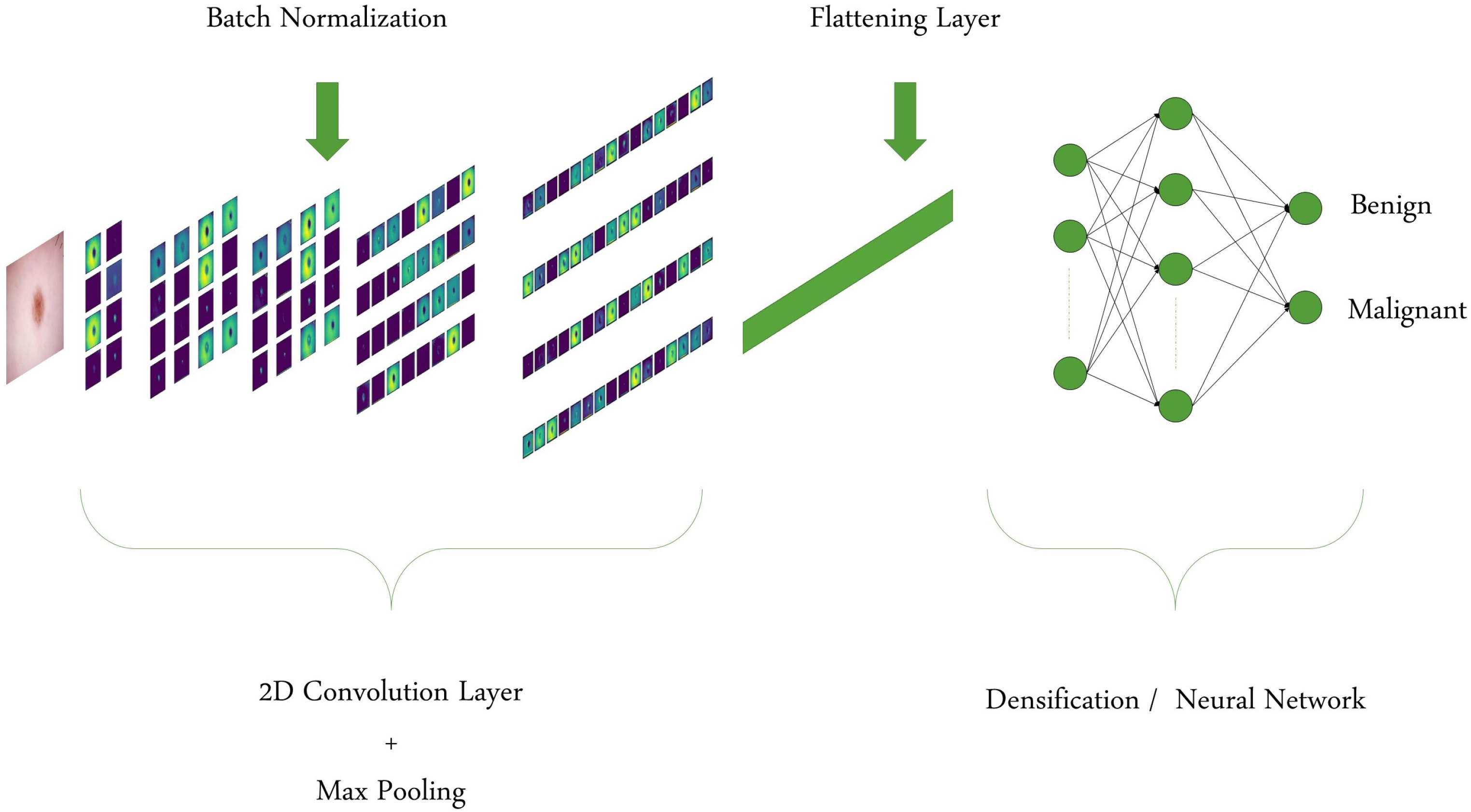 Bioengineering 09 00097 g003