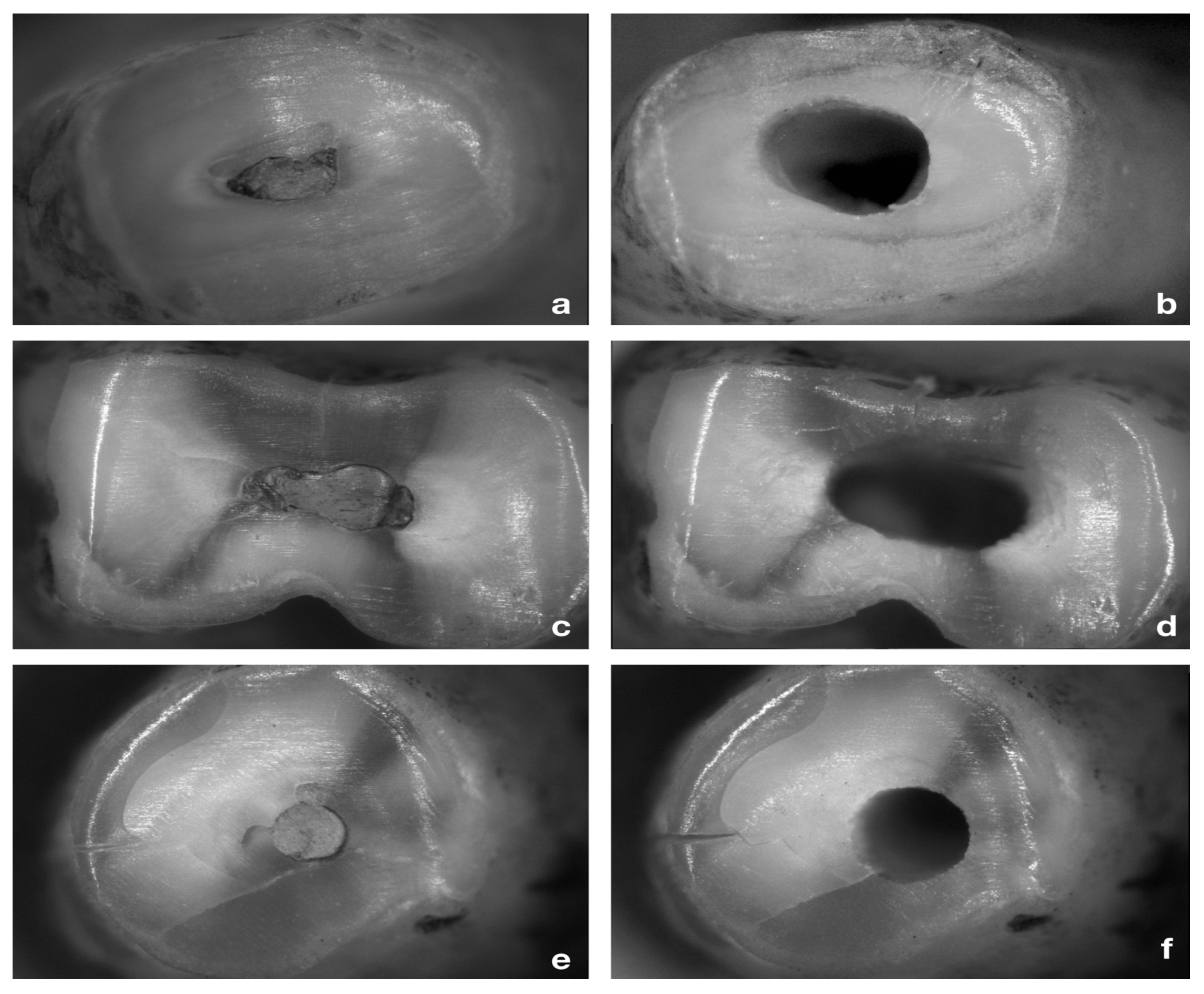 Bioengineering 09 00103 g001 550
