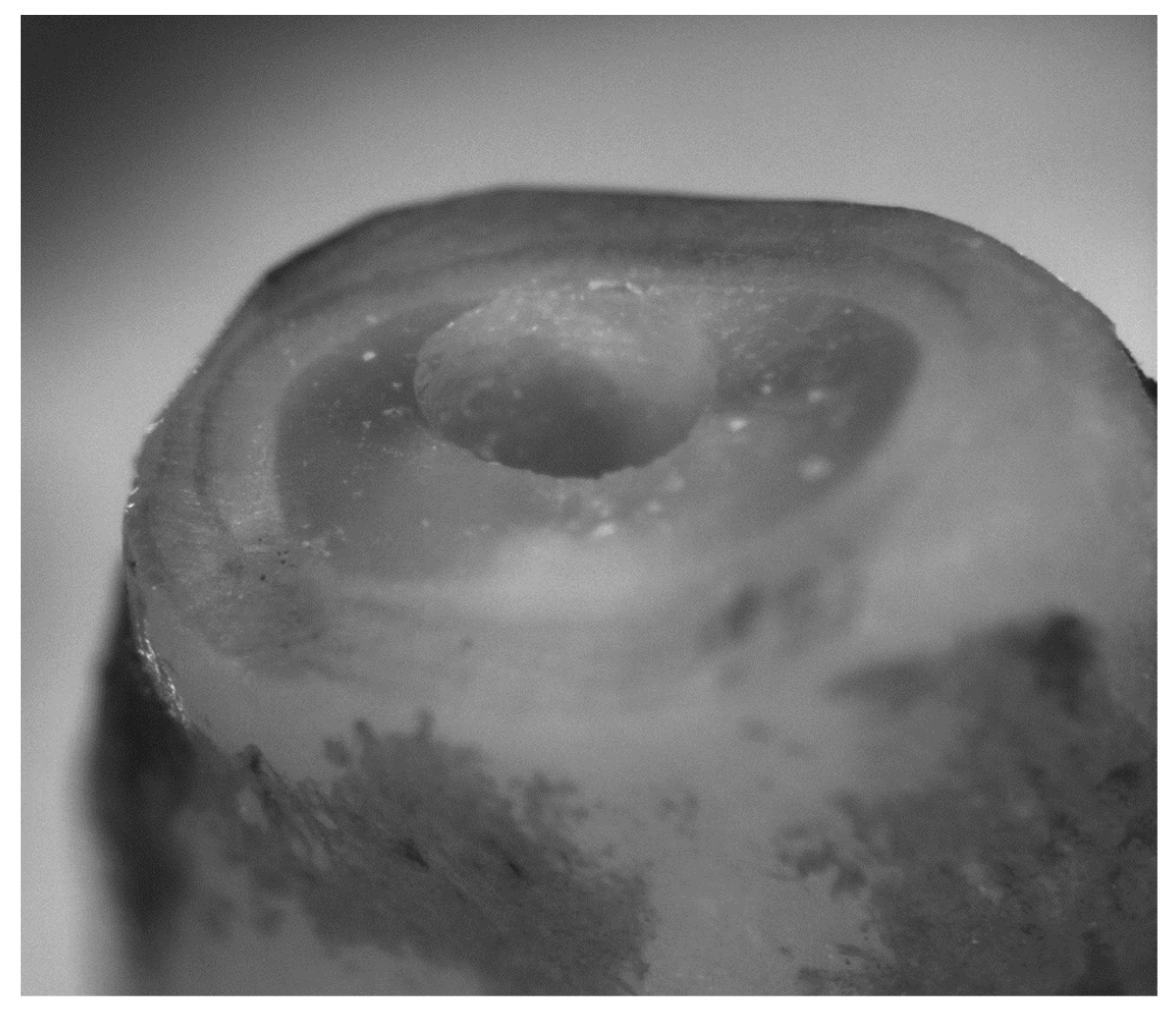 Bioengineering 09 00103 g002 550