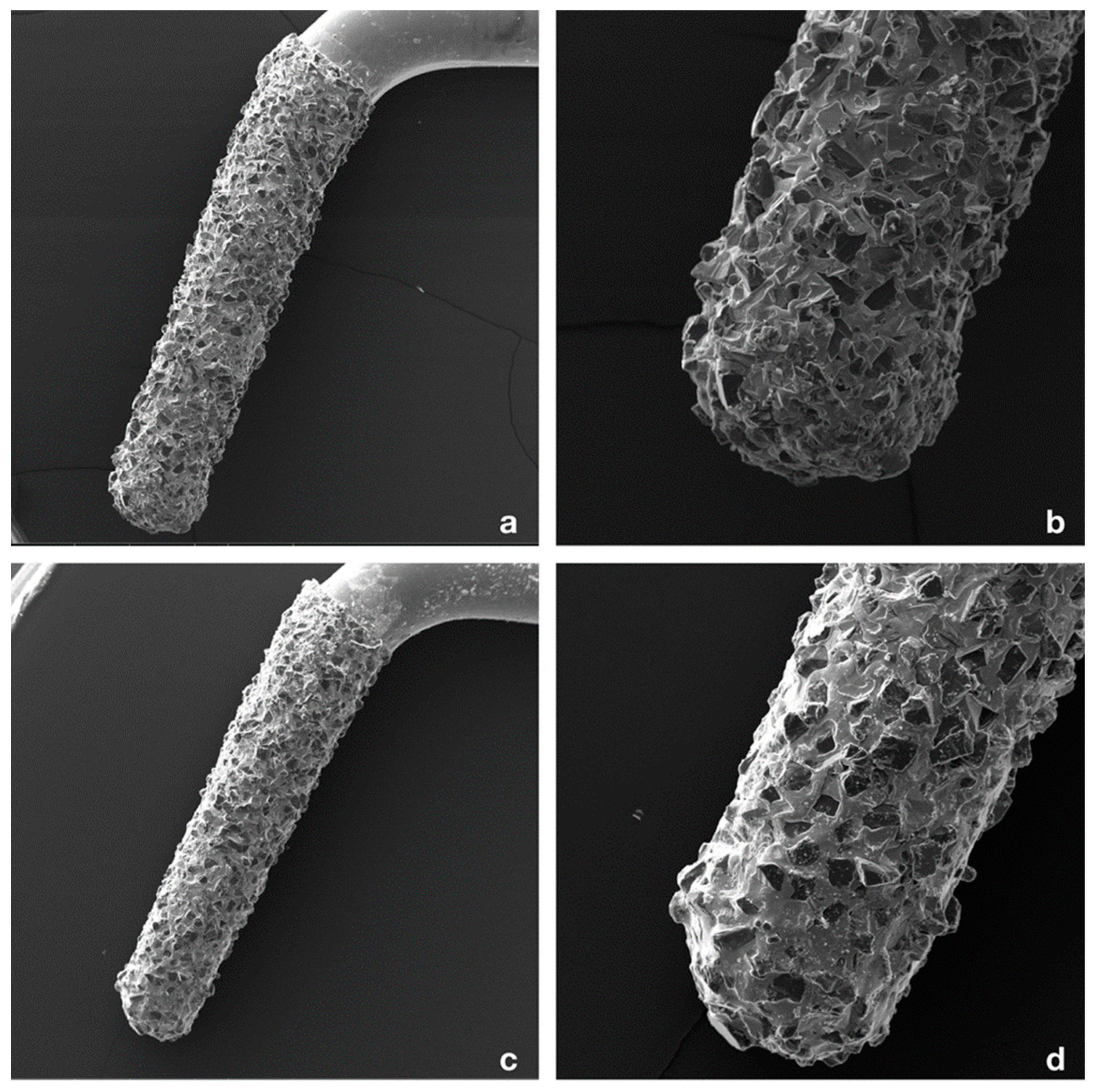 Bioengineering 09 00103 g003 550