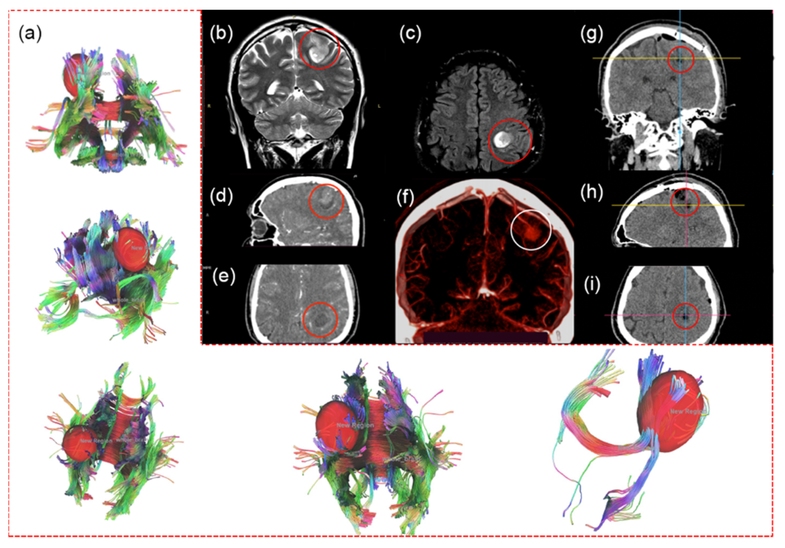 Bioengineering 09 00104 g001