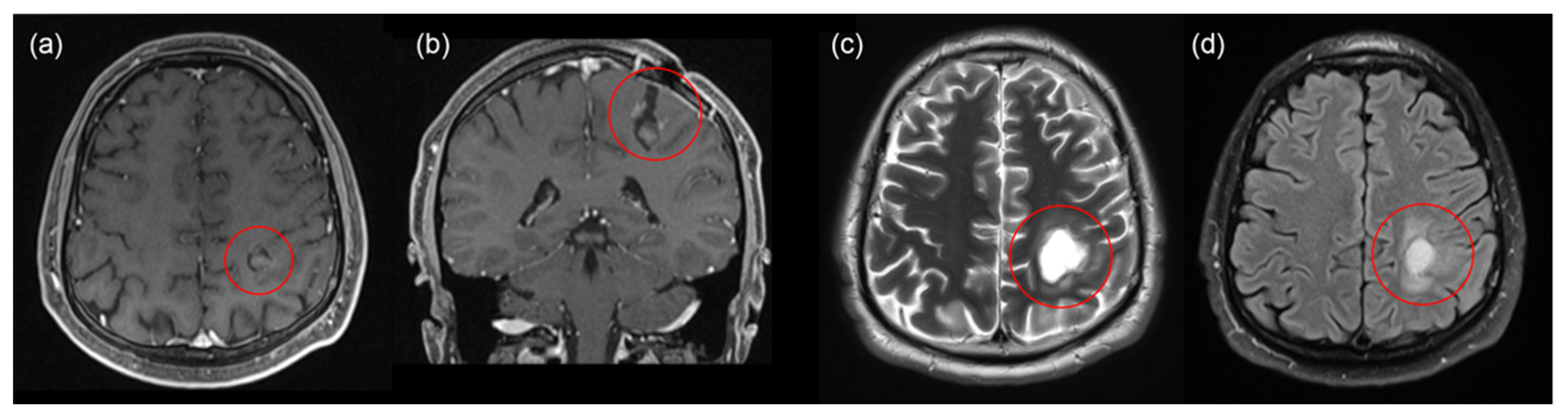 Bioengineering 09 00104 g002
