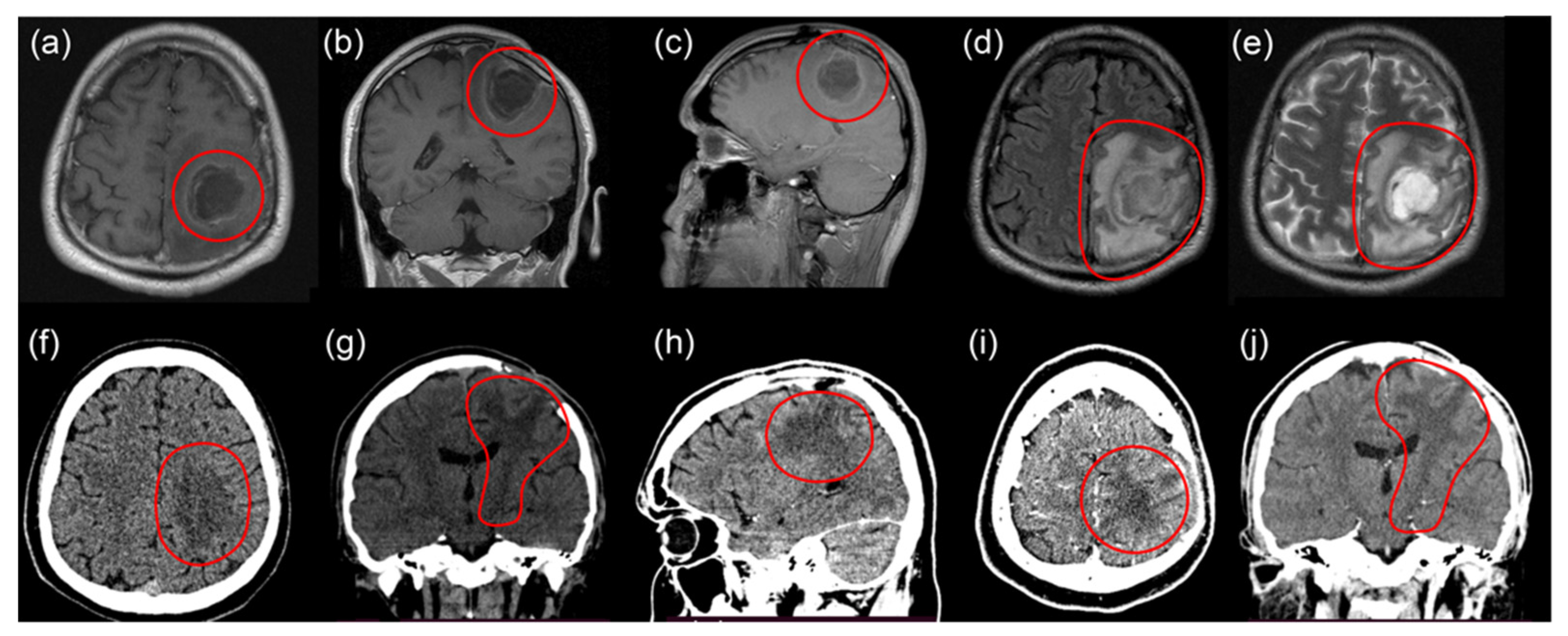 Bioengineering 09 00104 g004