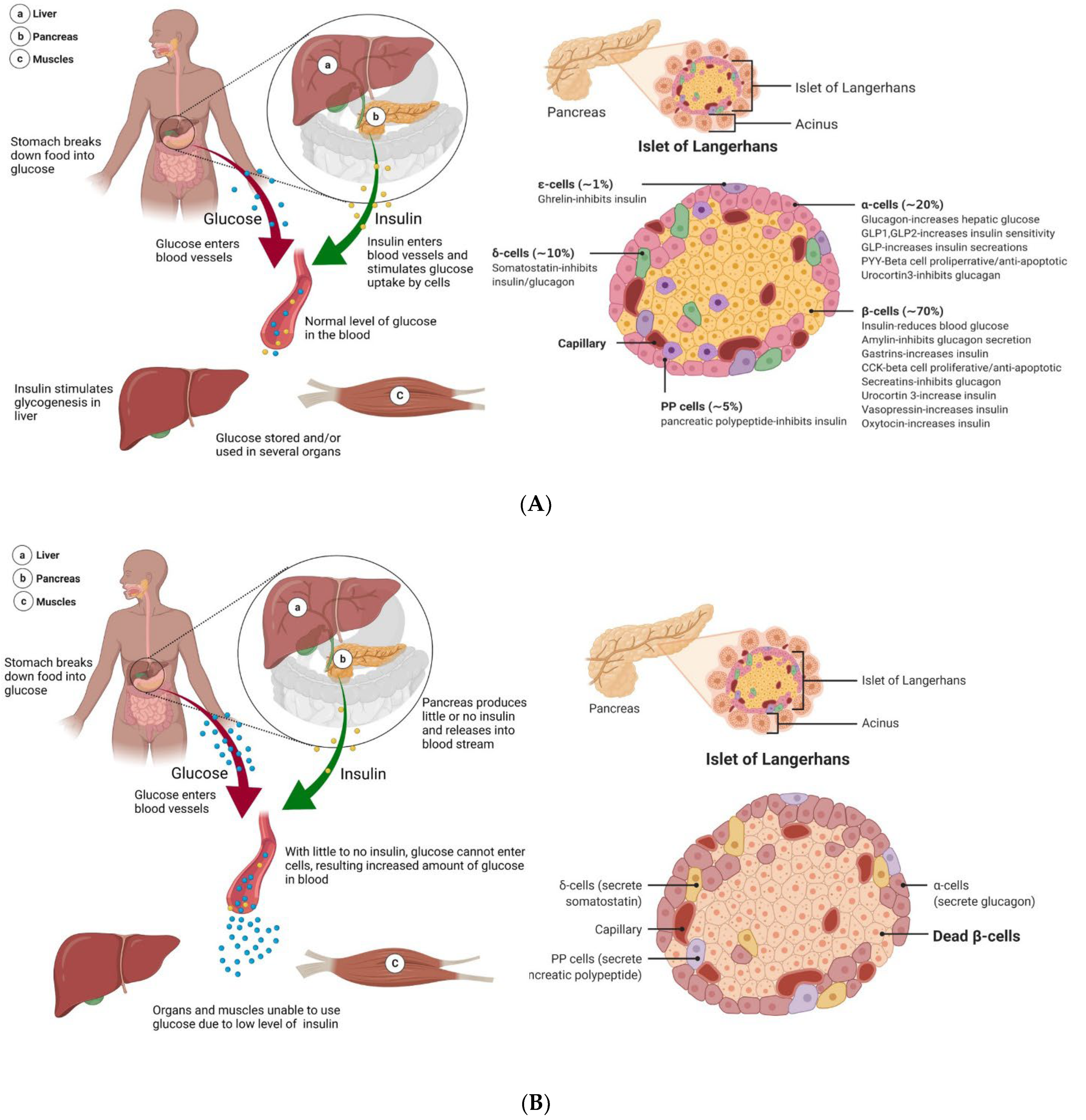 Bioengineering 09 00105 g002