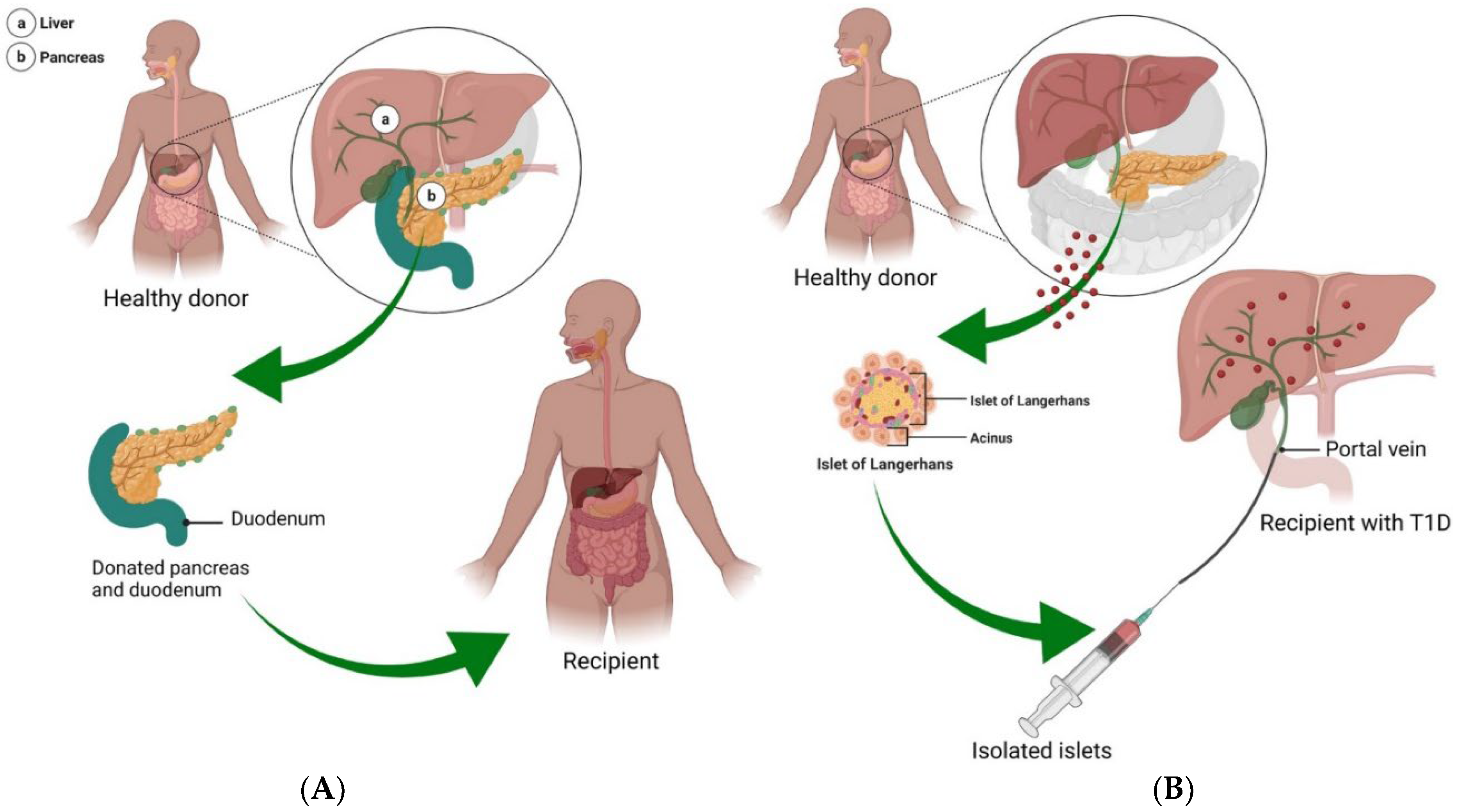 Bioengineering 09 00105 g003