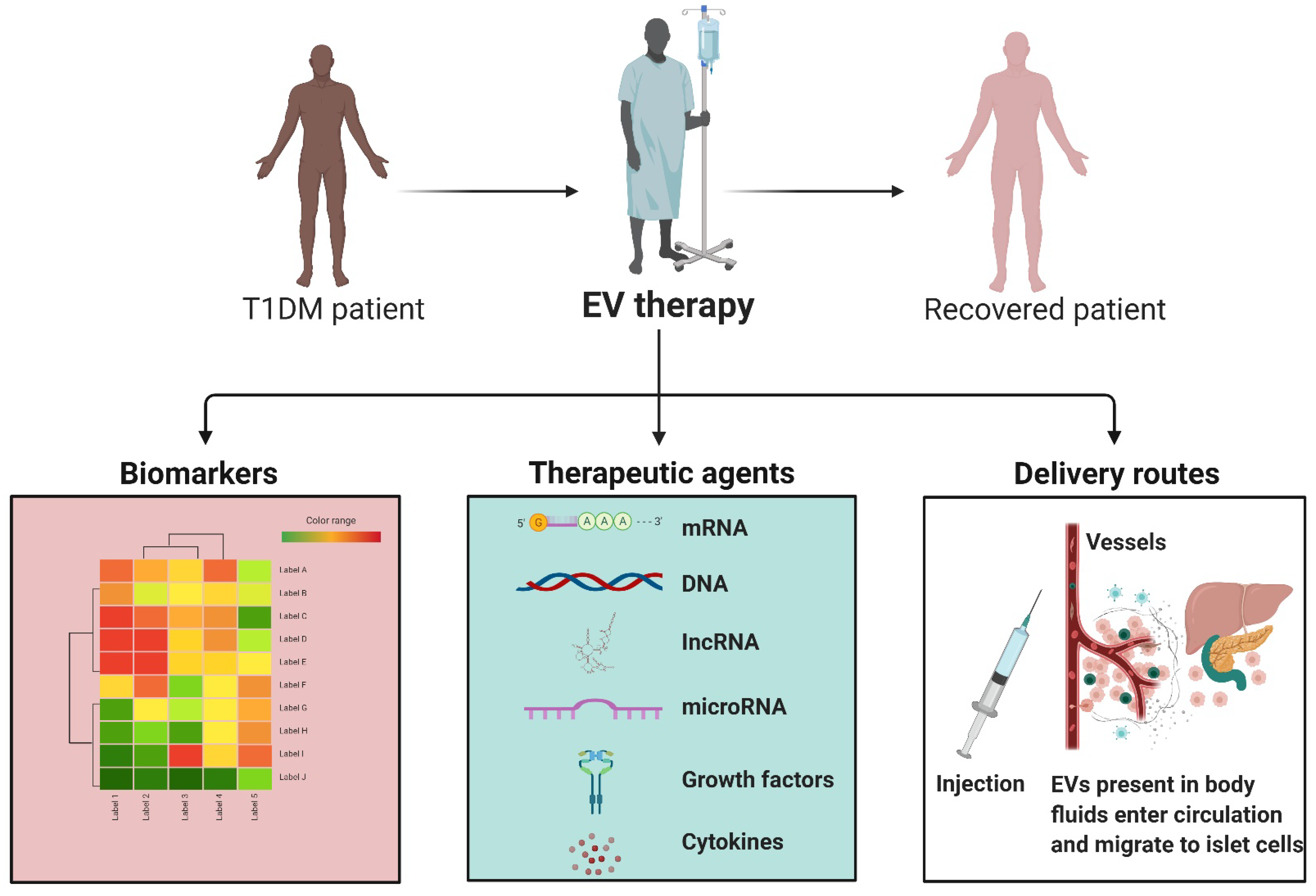 Bioengineering 09 00105 g004
