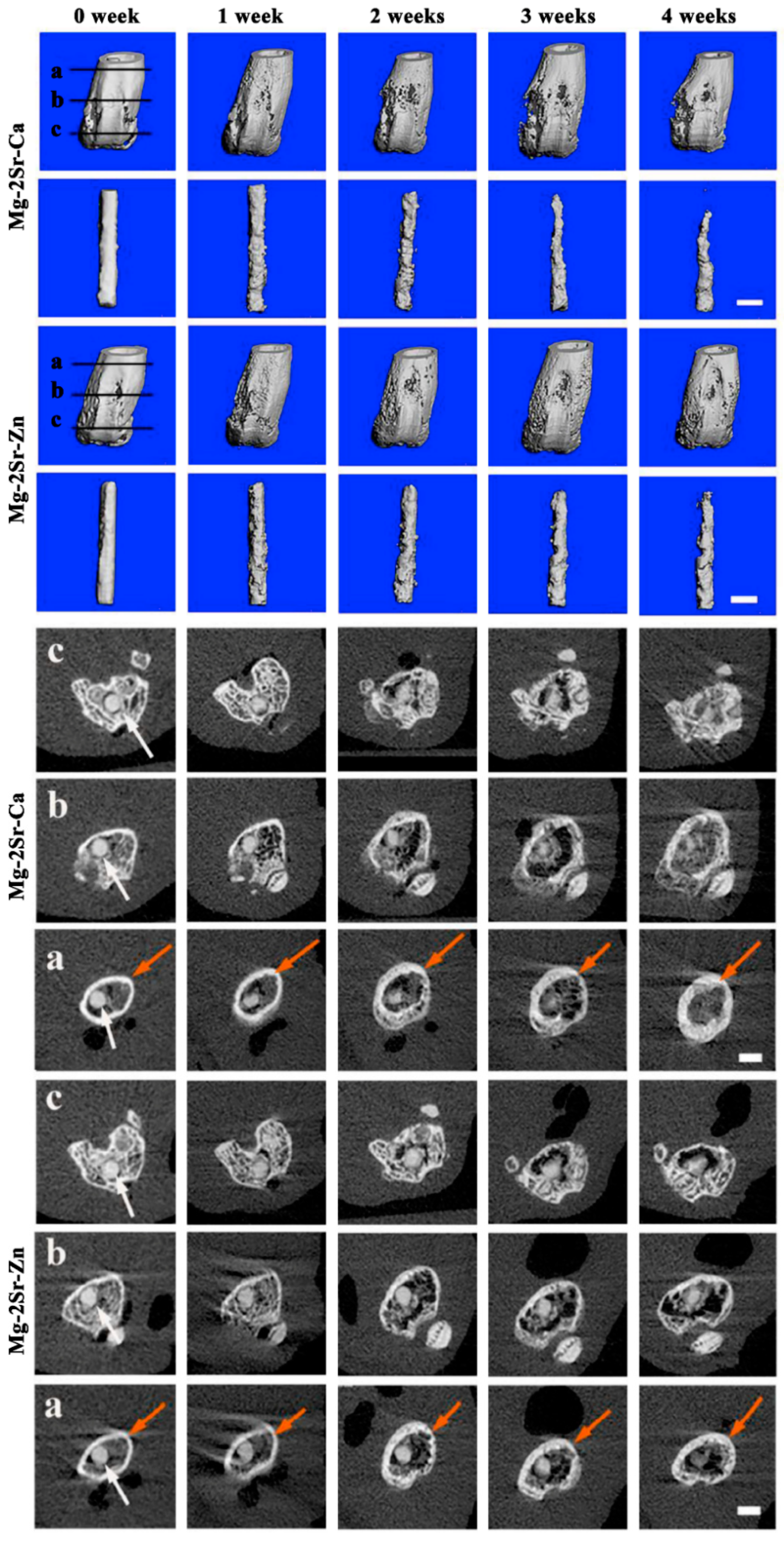 Bioengineering 09 00107 g001 550