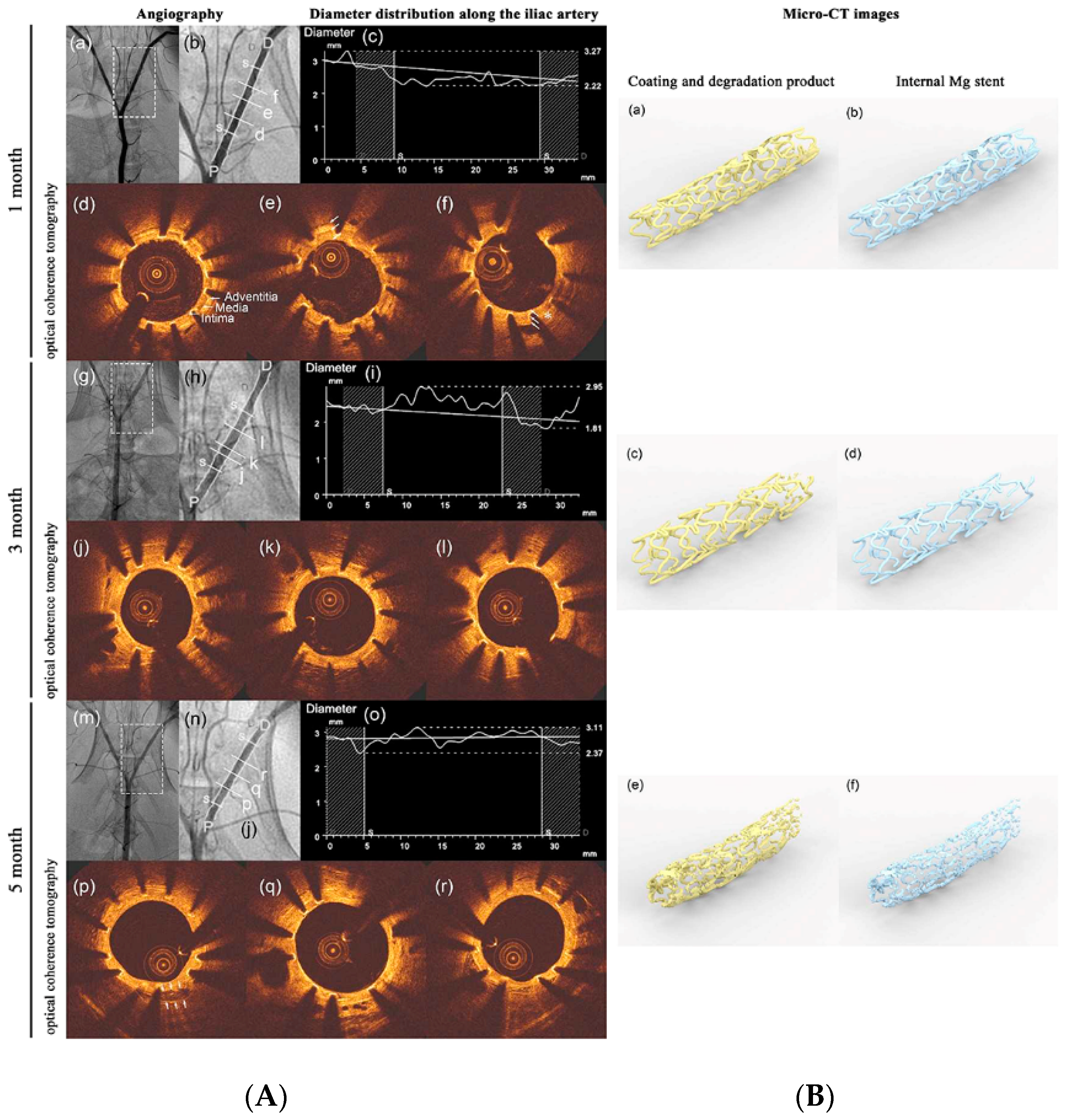 Bioengineering 09 00107 g002 550