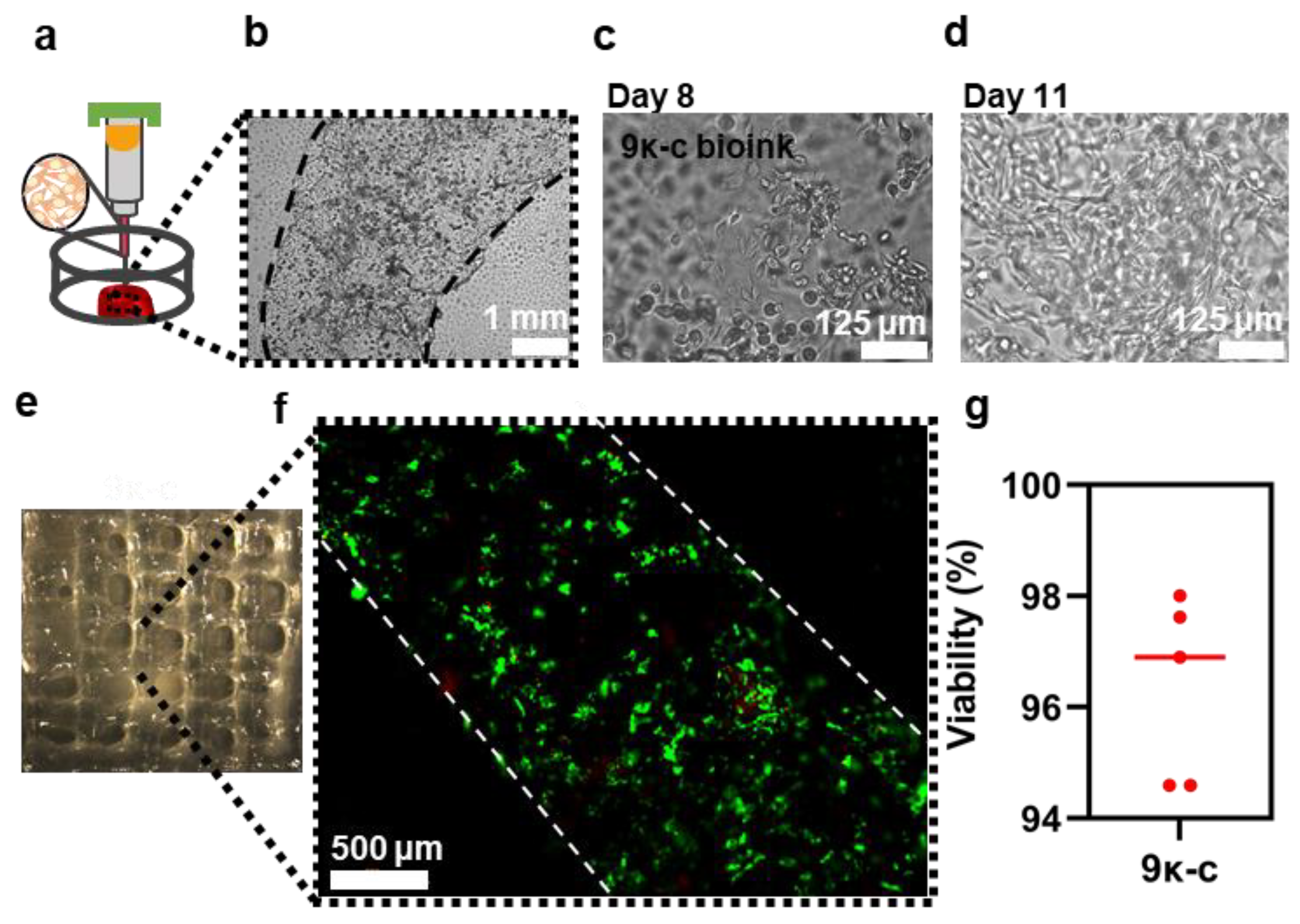 Bioengineering 09 00109 g006