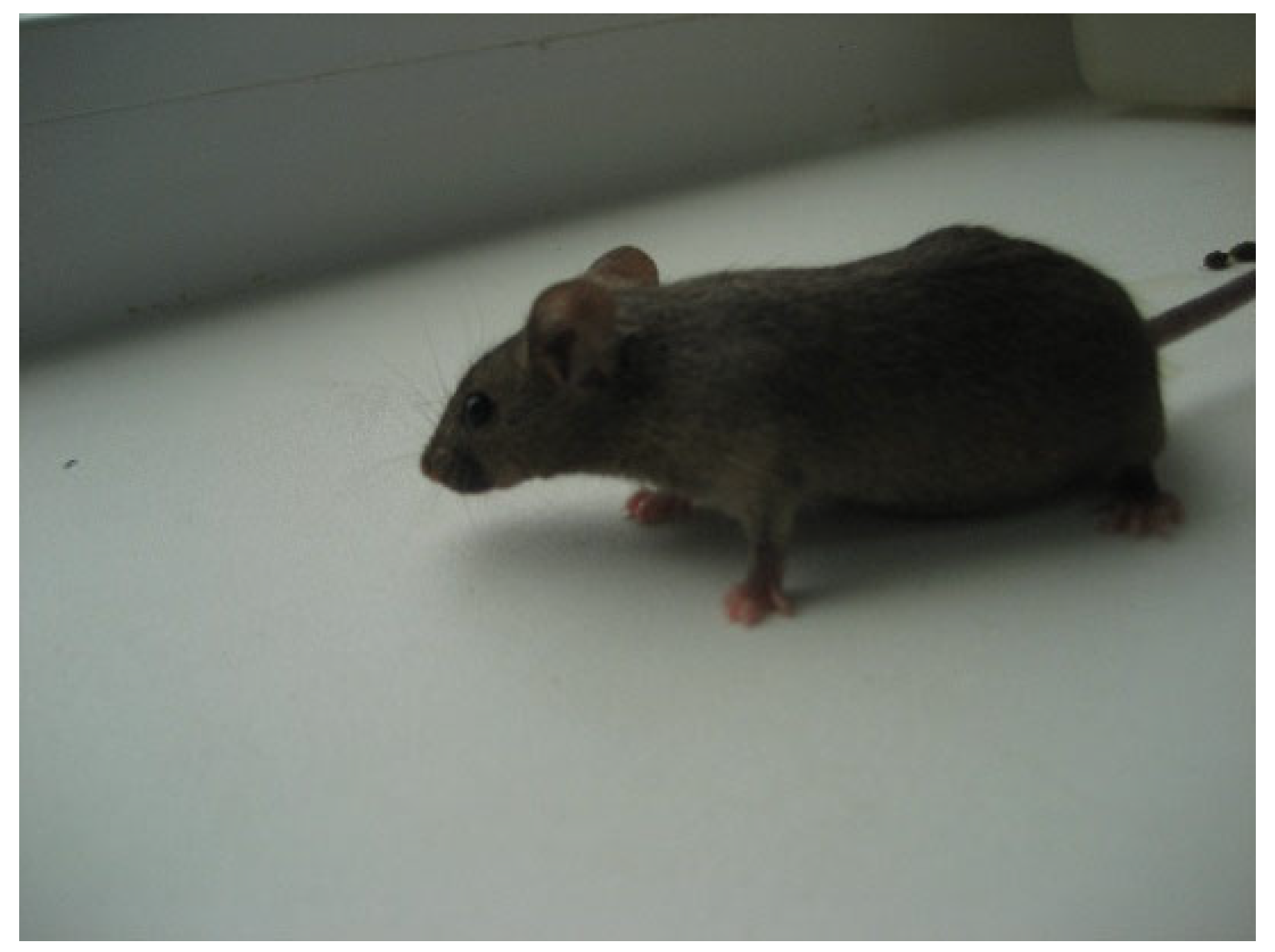 Bioengineering 09 00113 g002 550