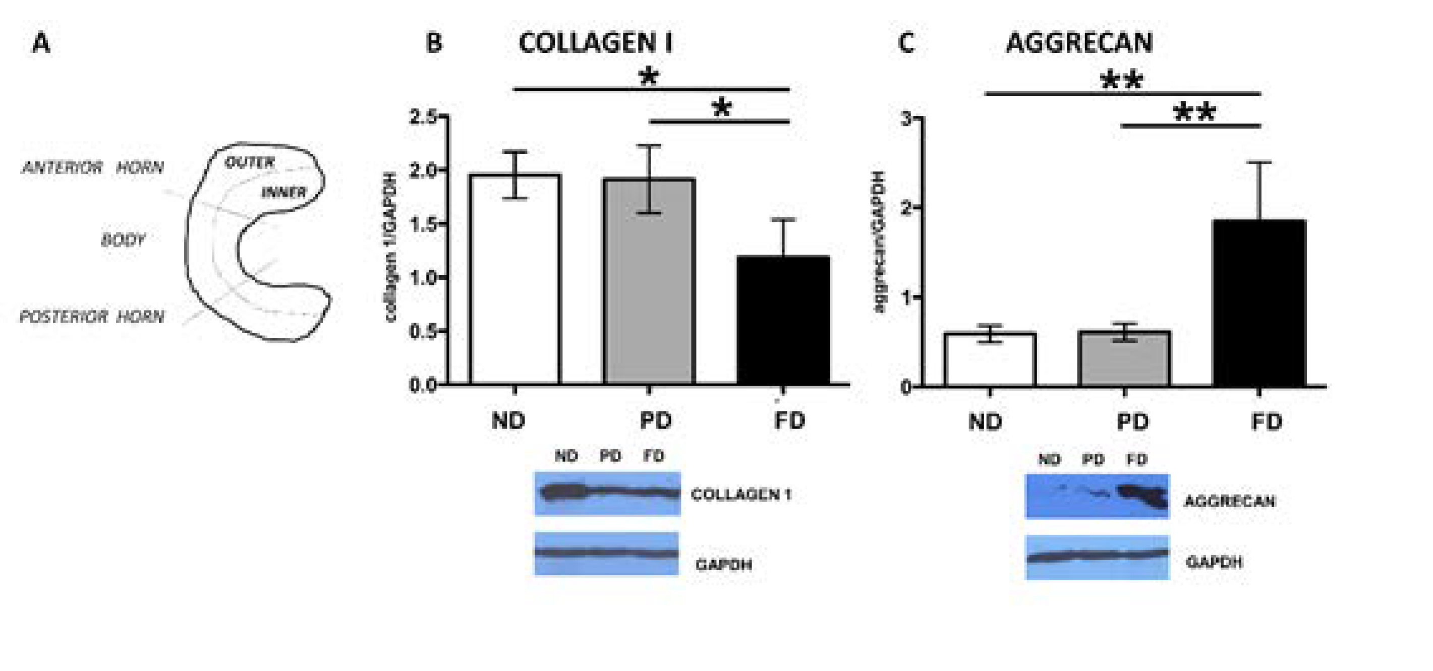 Bioengineering 09 00117 g002