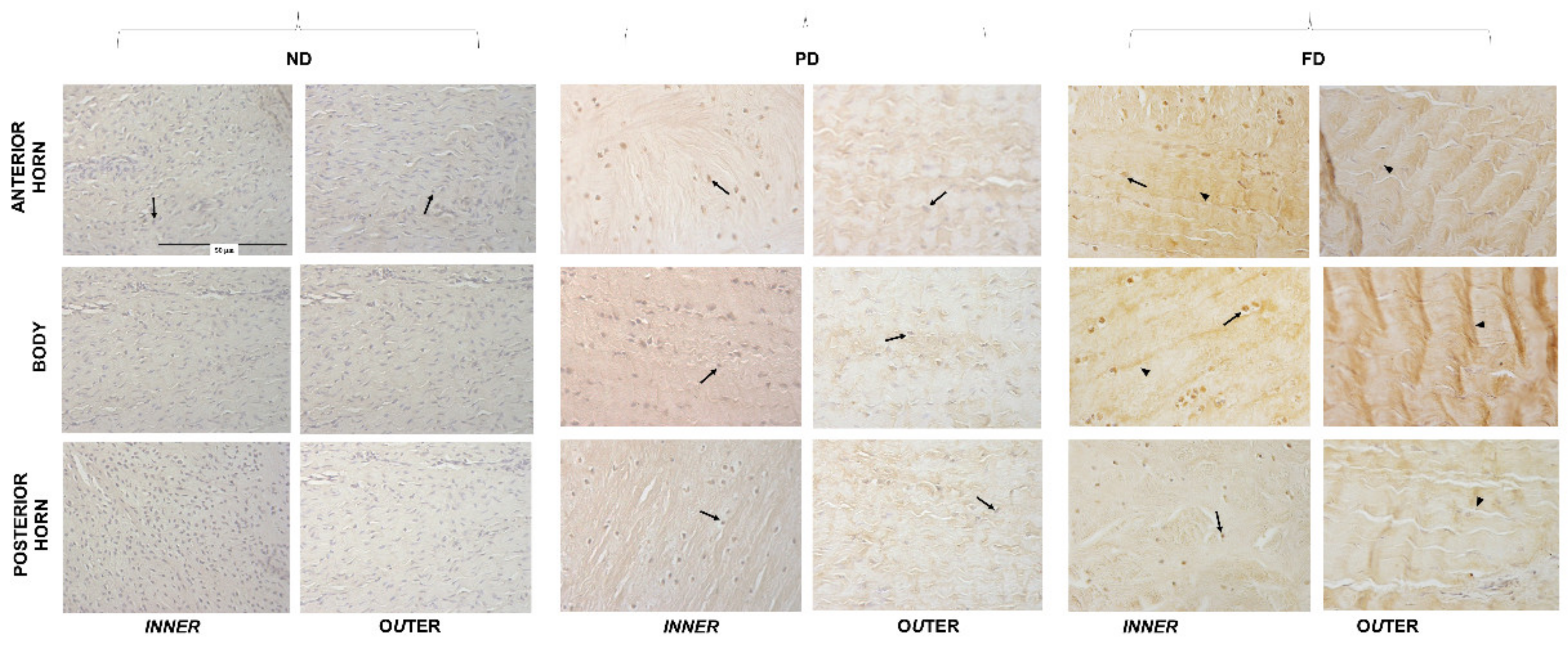 Bioengineering 09 00117 g004