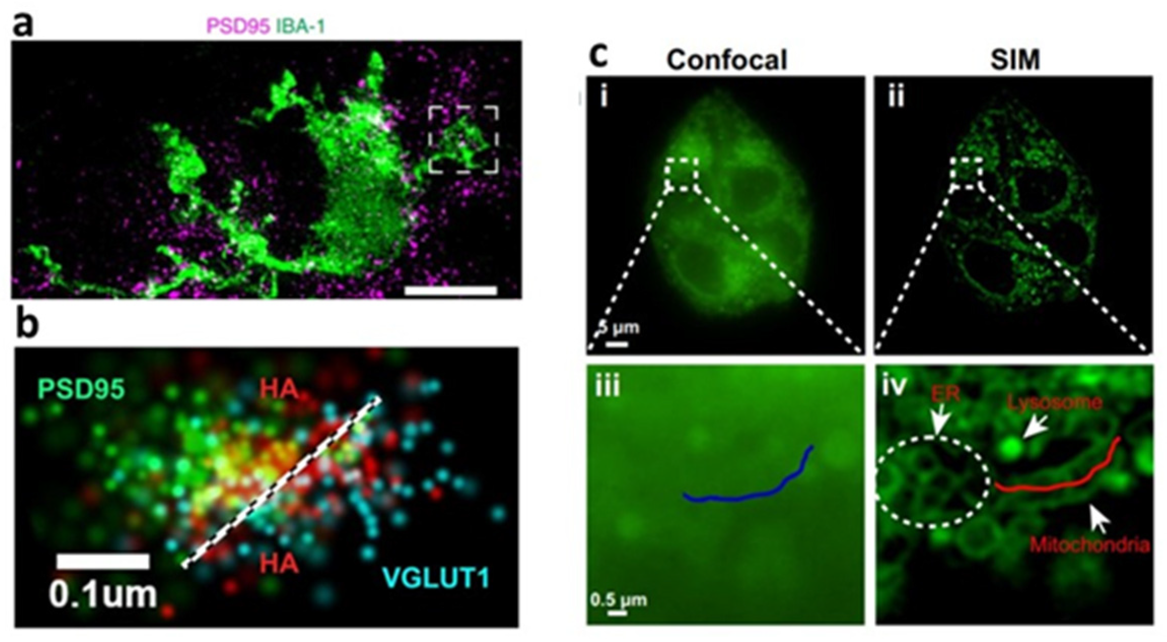 Bioengineering 09 00121 g003 550
