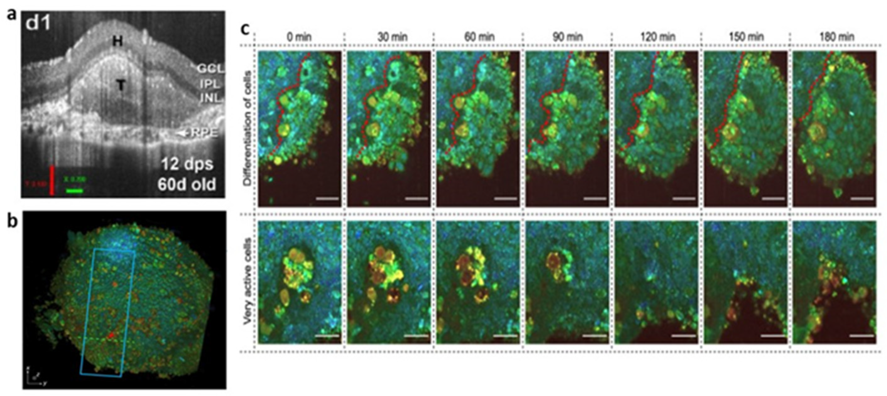 Bioengineering 09 00121 g004 550