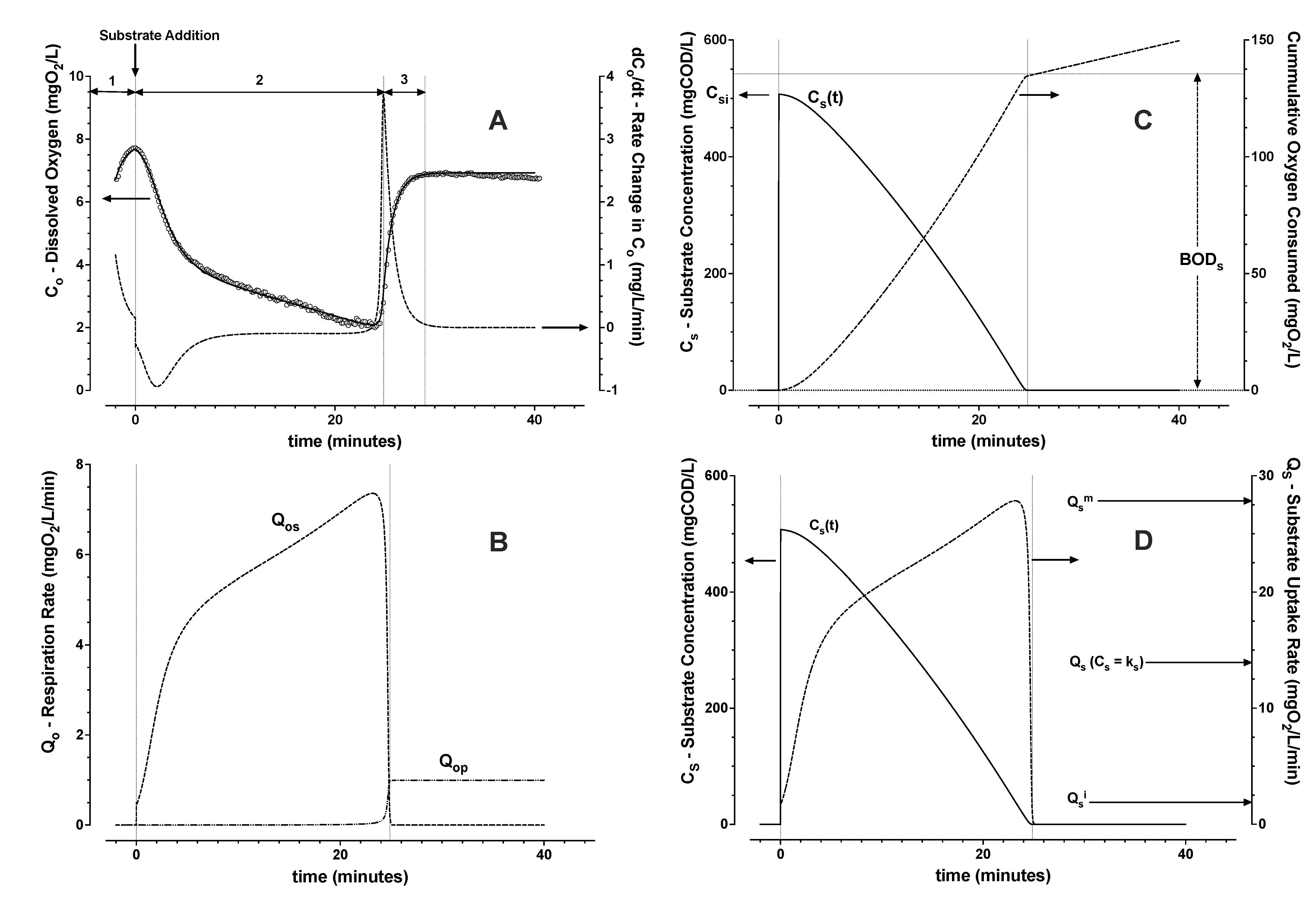 Bioengineering 09 00125 g004 550