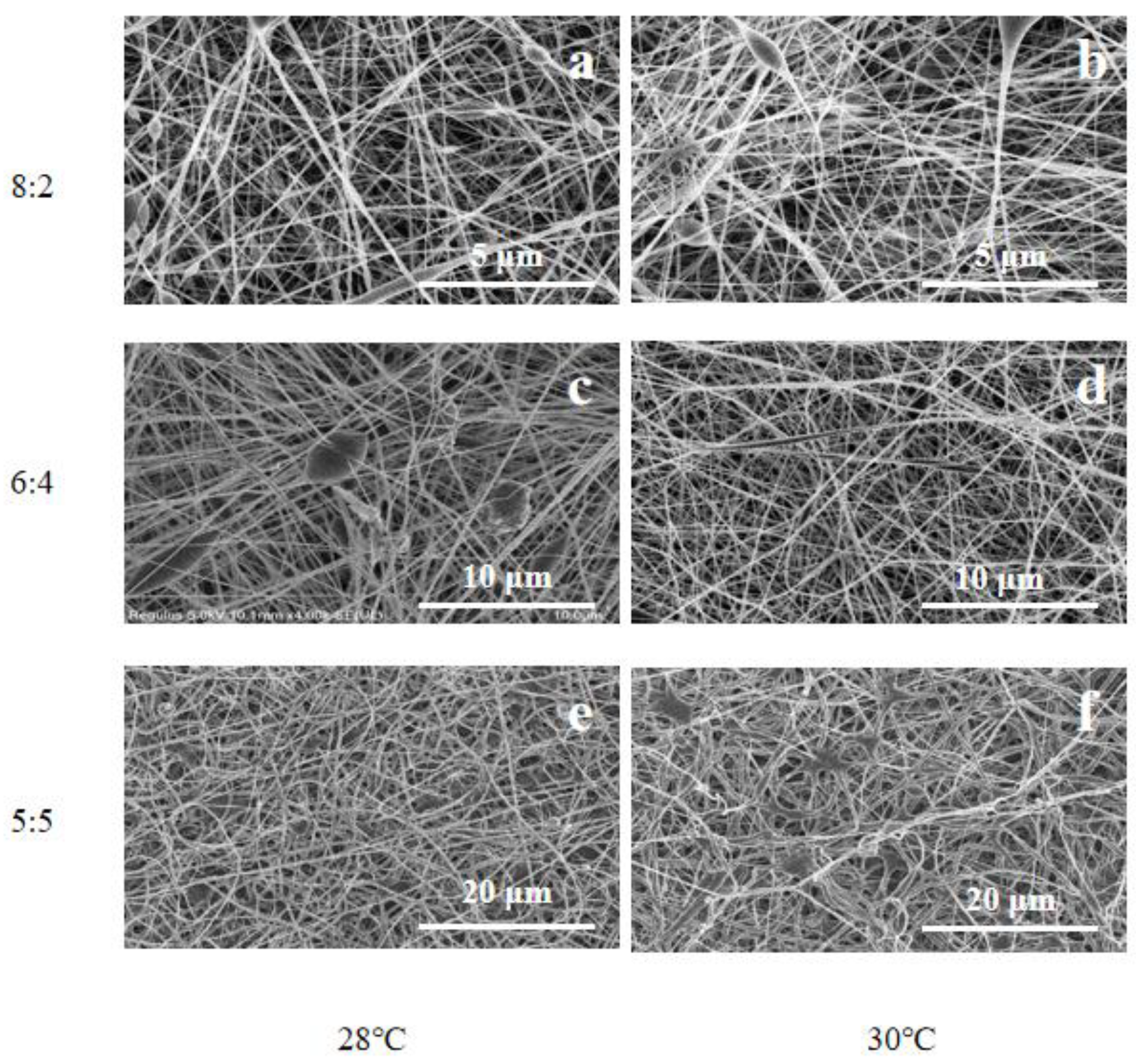Bioengineering 09 00130 g001 550