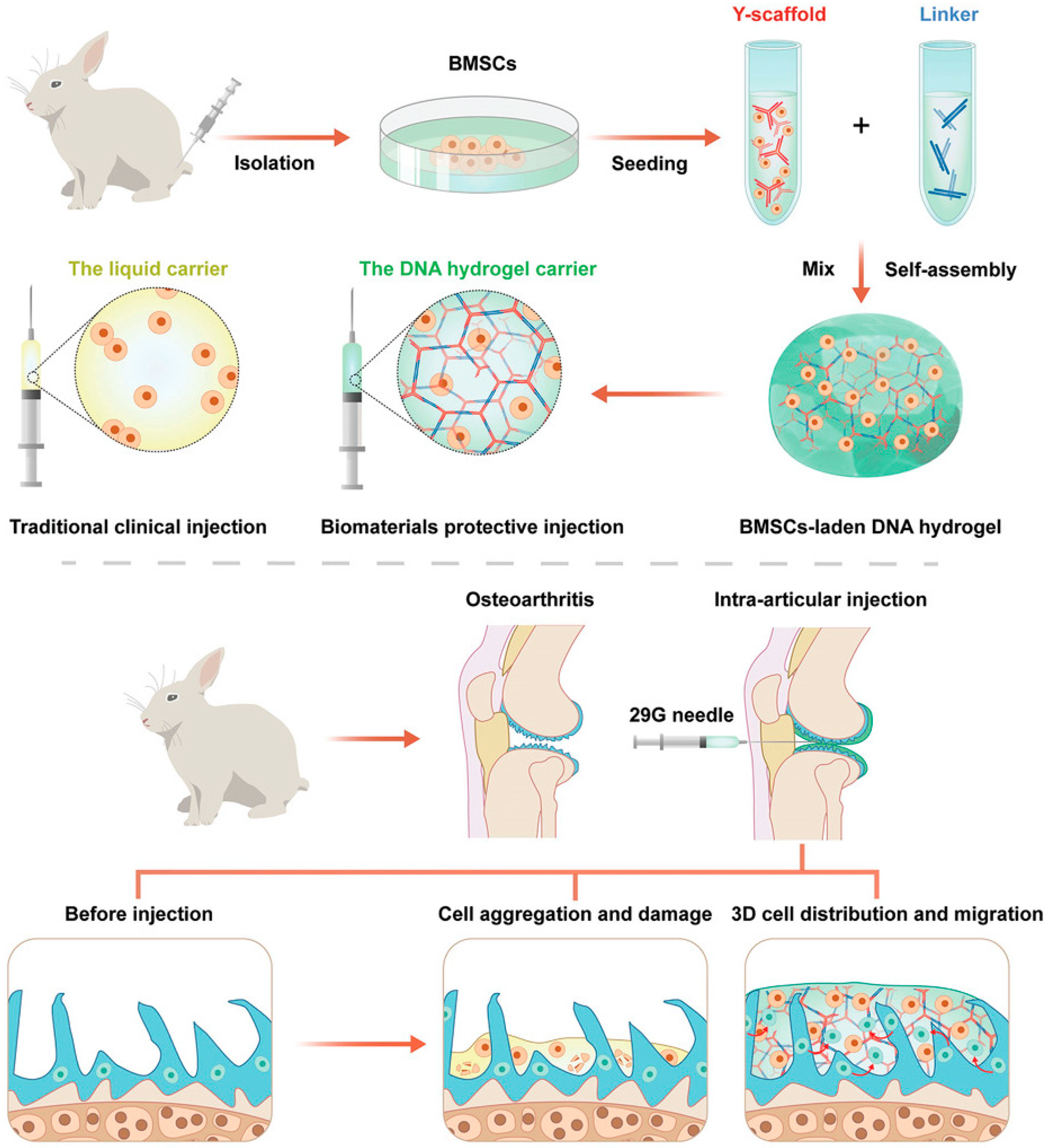 Bioengineering 09 00132 g004 550