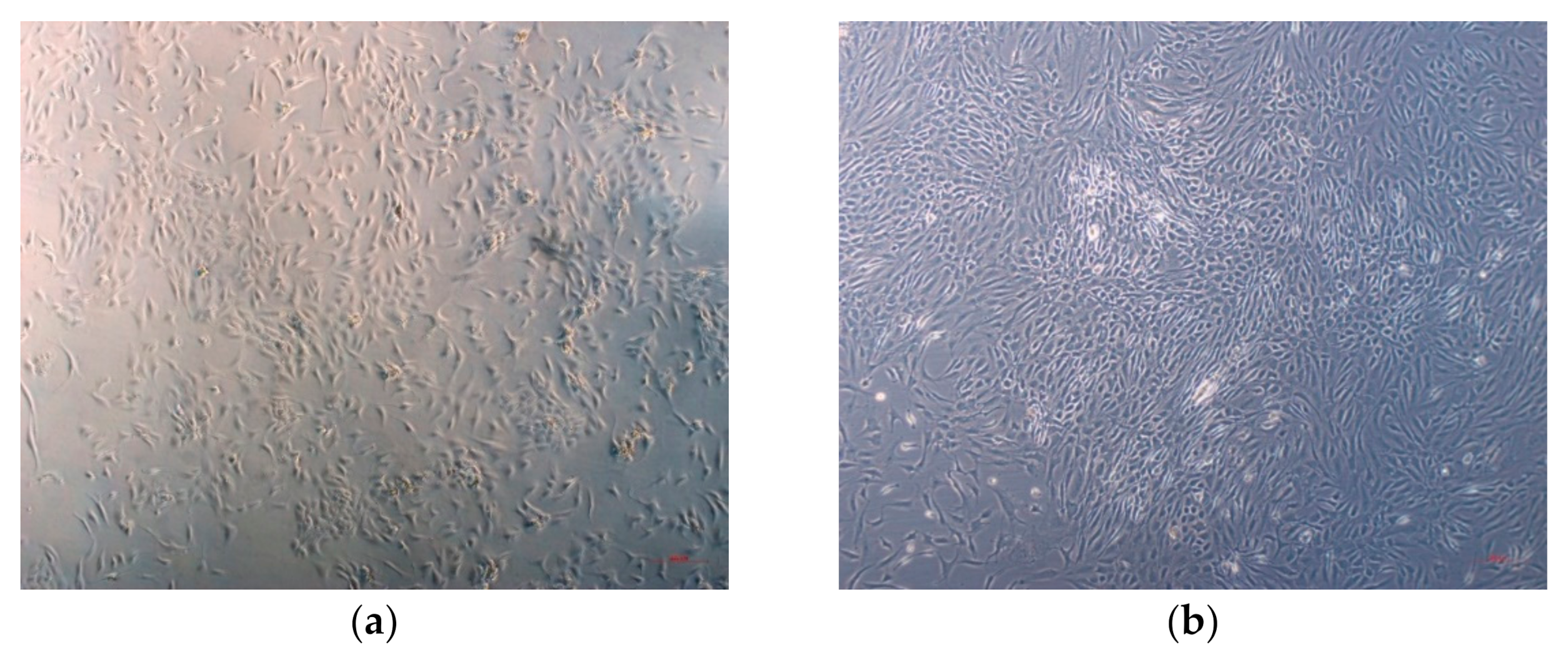 Bioengineering 09 00137 g001