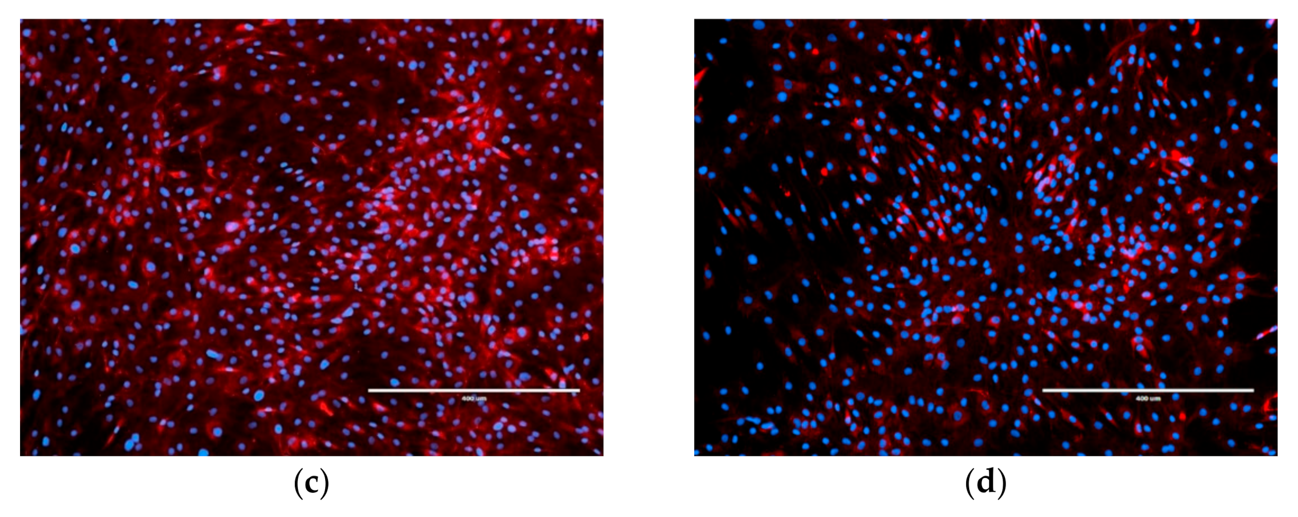 Bioengineering 09 00137 g002b