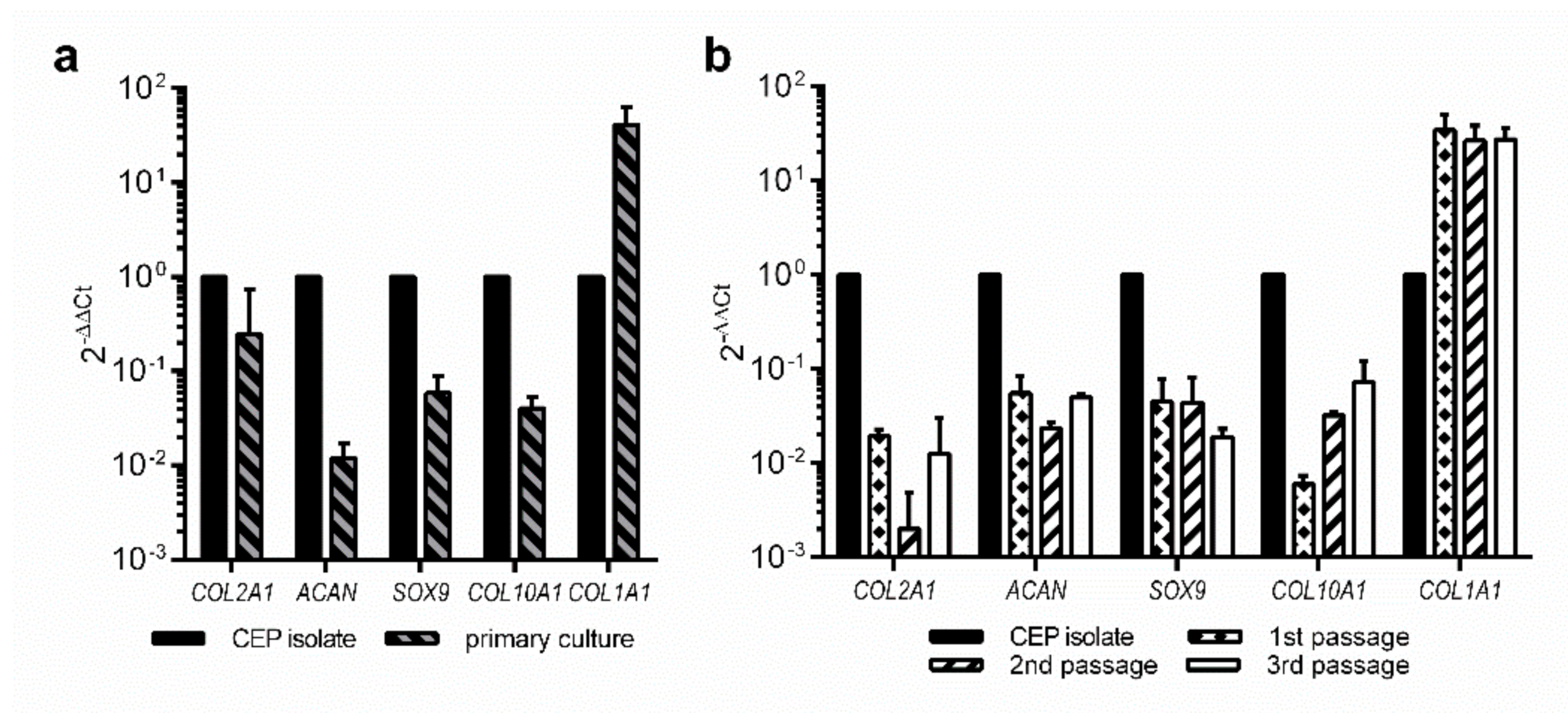 Bioengineering 09 00137 g003