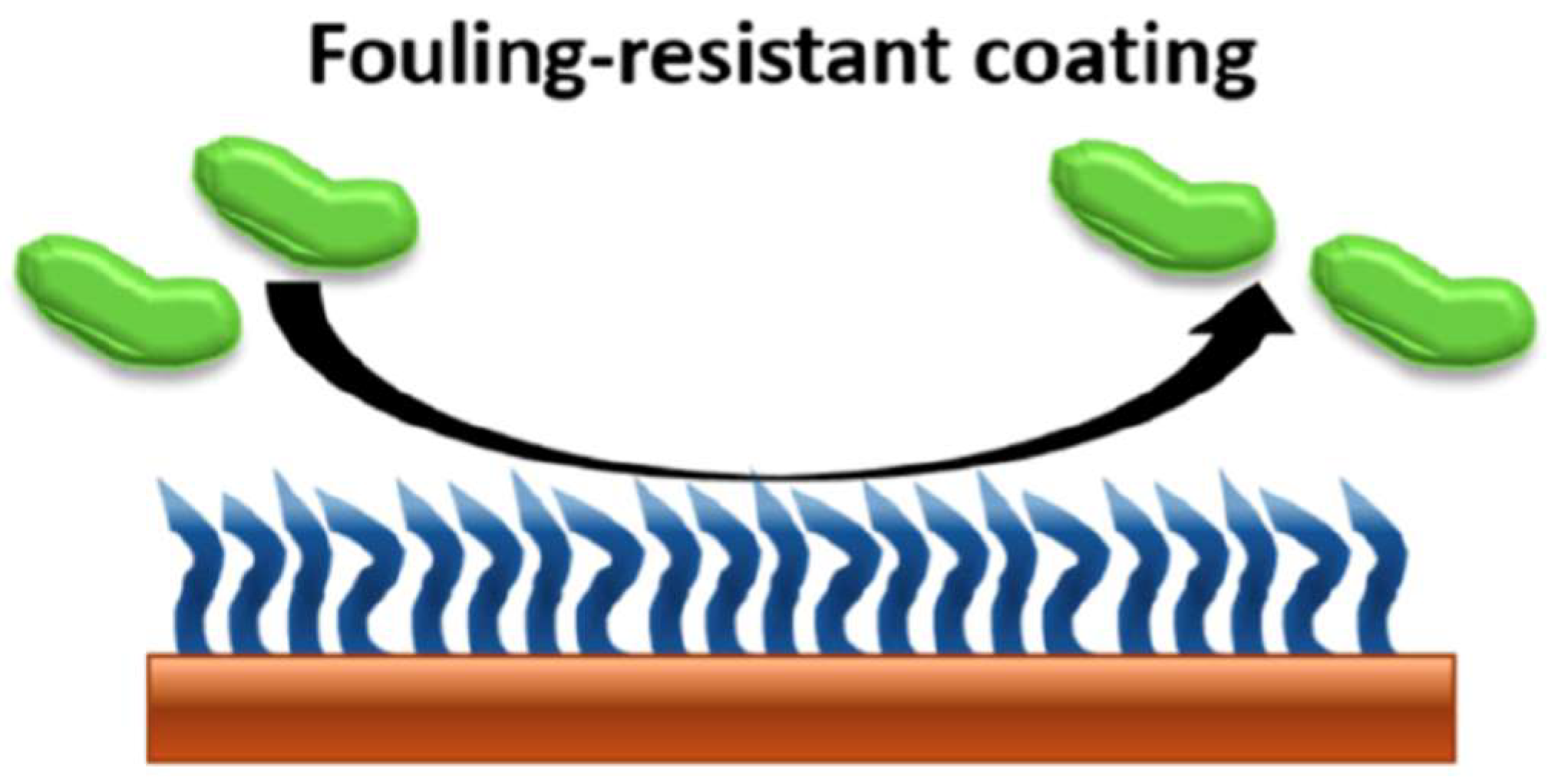 Bioengineering 09 00138 g001