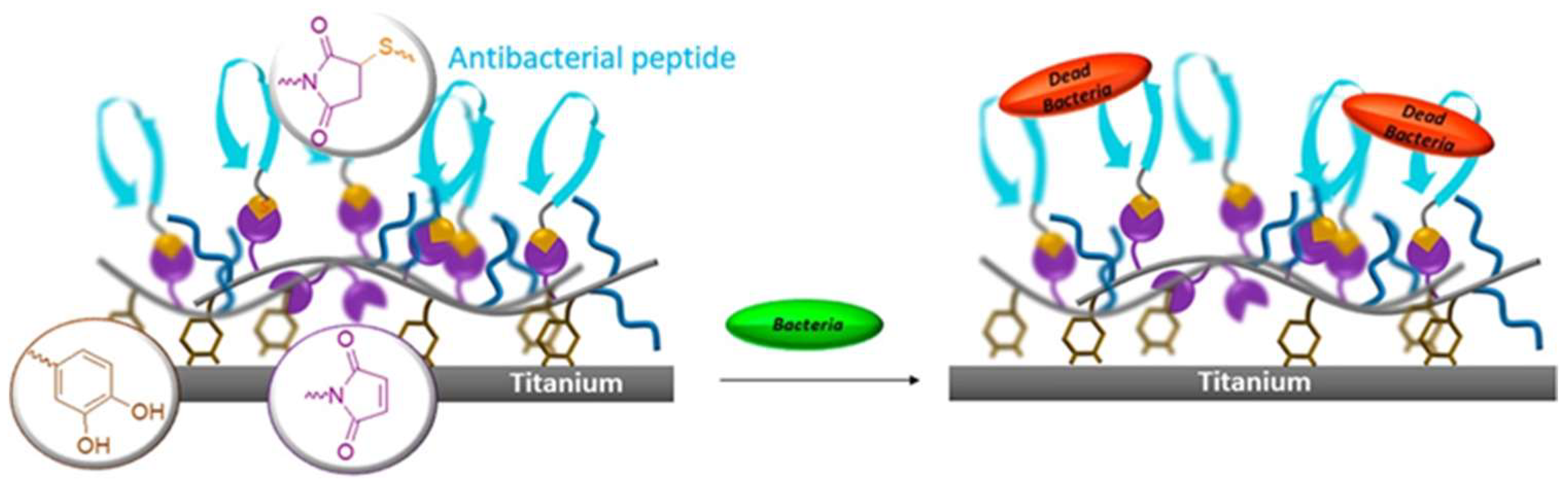 Bioengineering 09 00138 g002