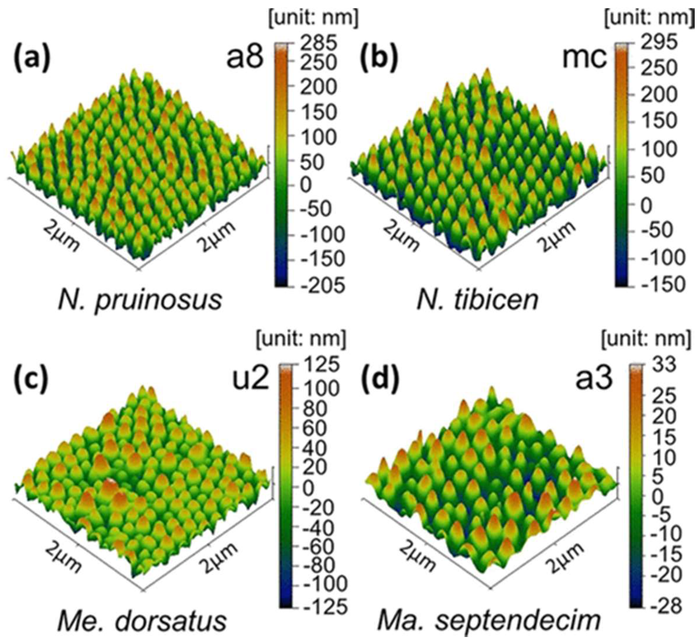 Bioengineering 09 00138 g003