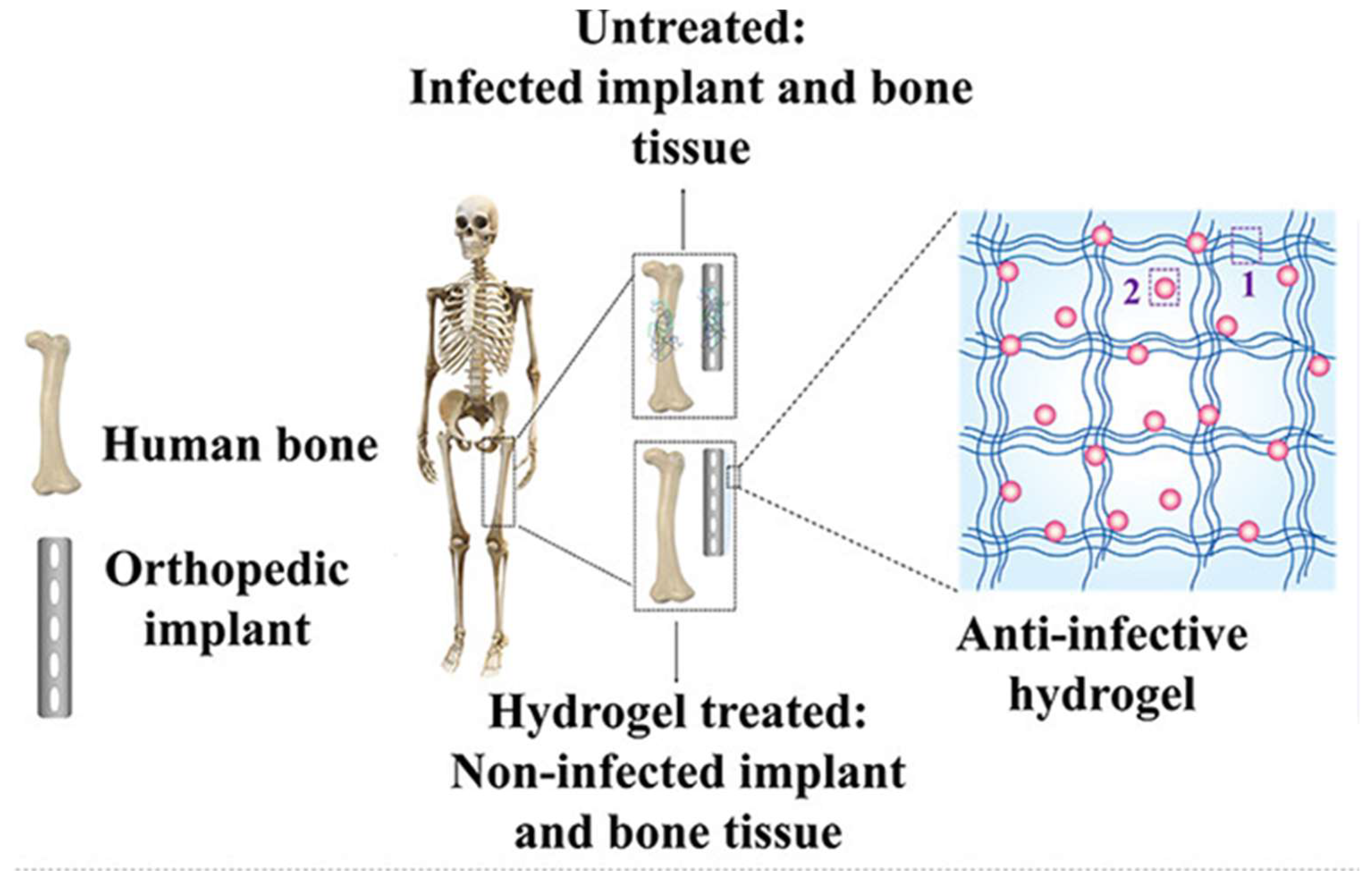 Bioengineering 09 00138 g004