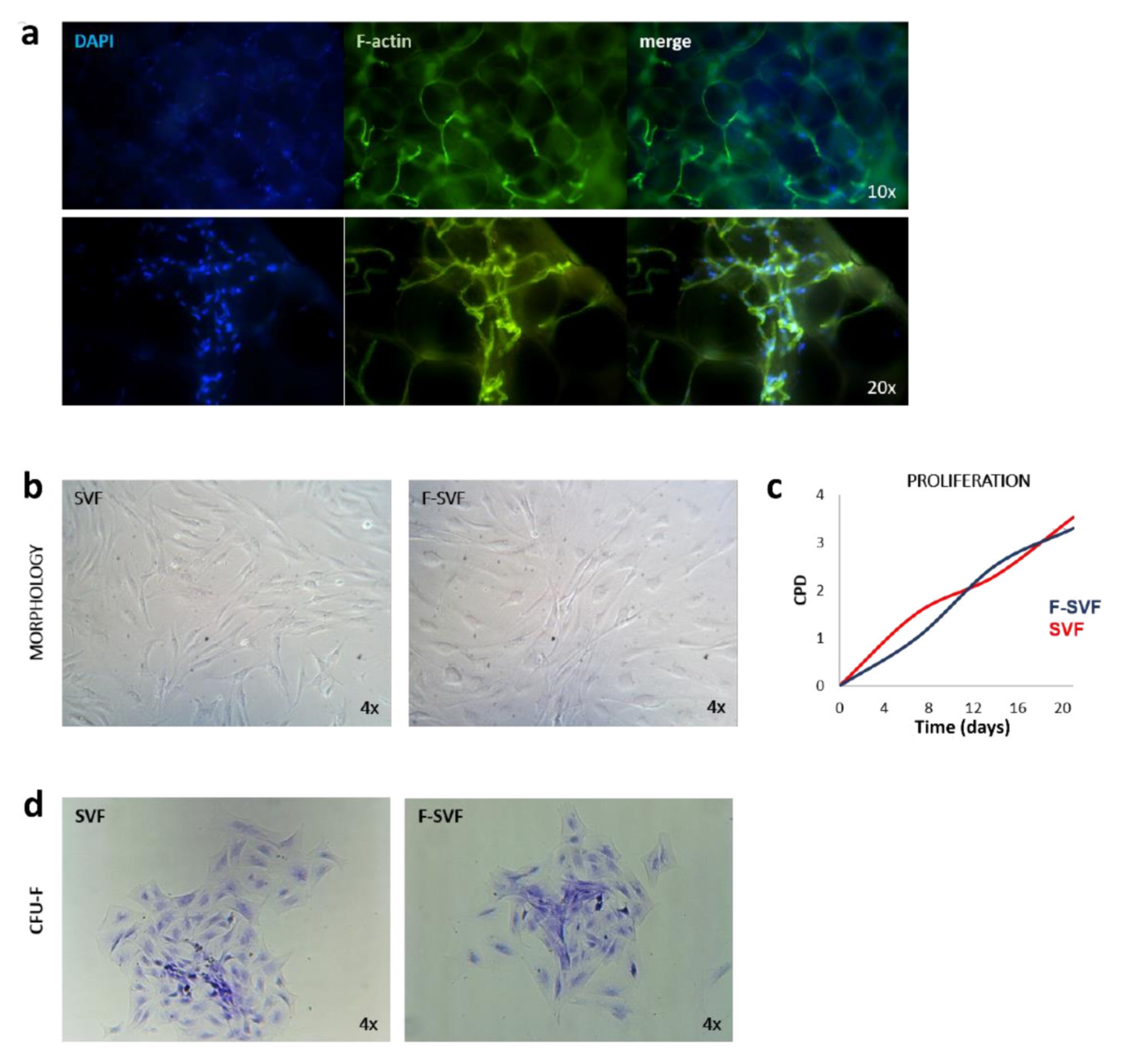 Bioengineering 09 00142 g004 550