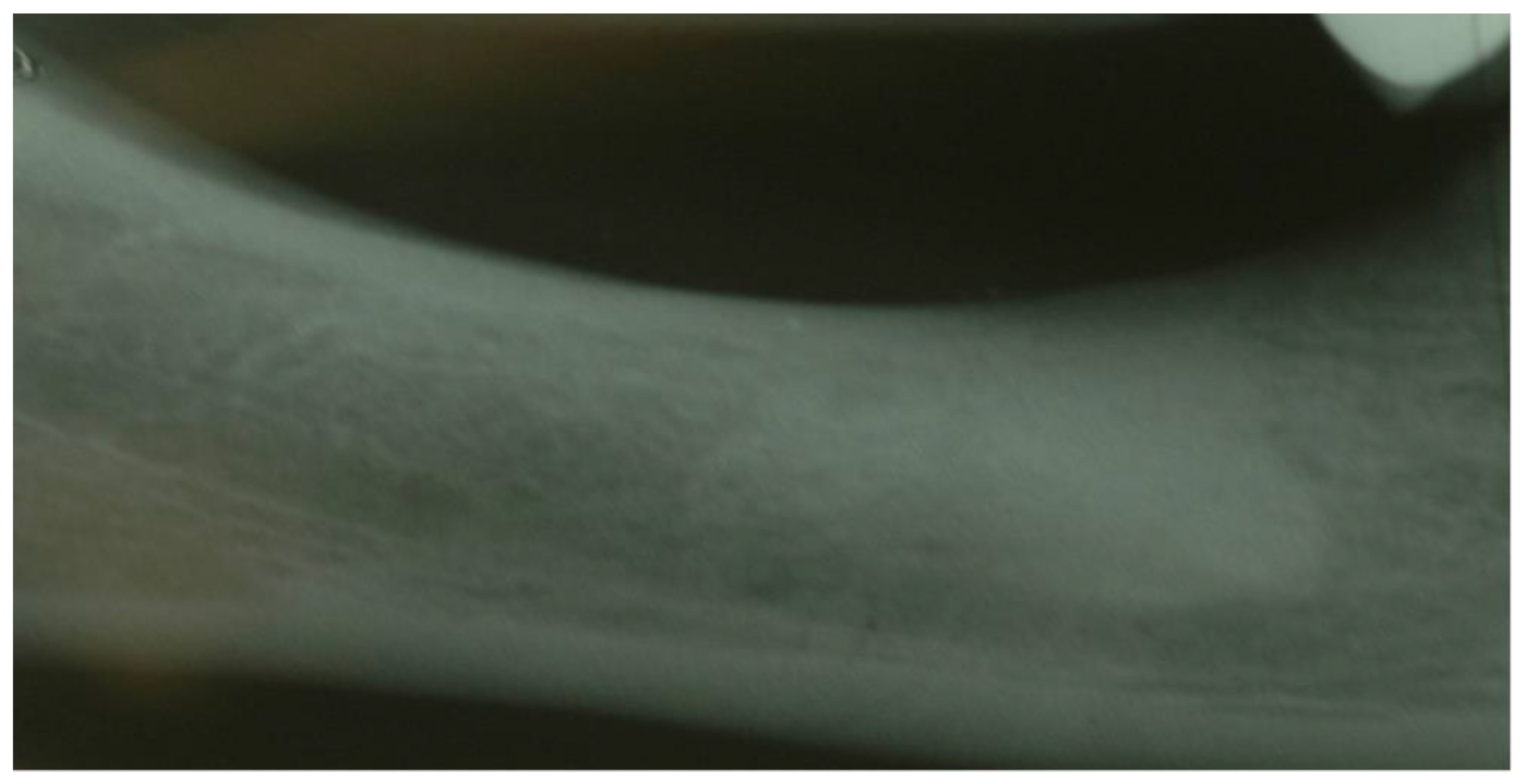 Bioengineering 09 00145 g001 550