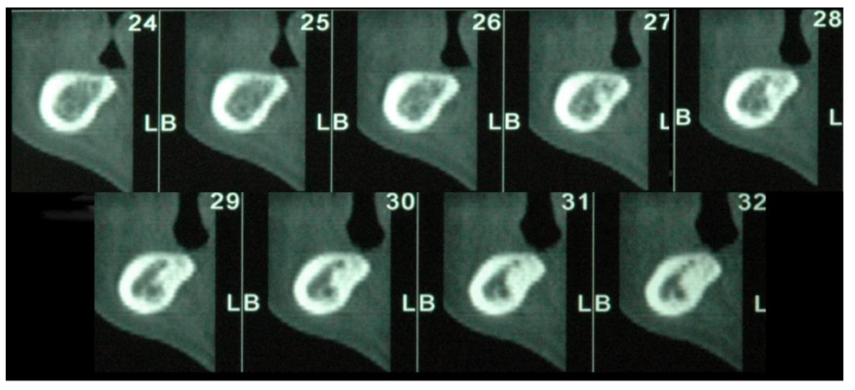 Bioengineering 09 00145 g002 550