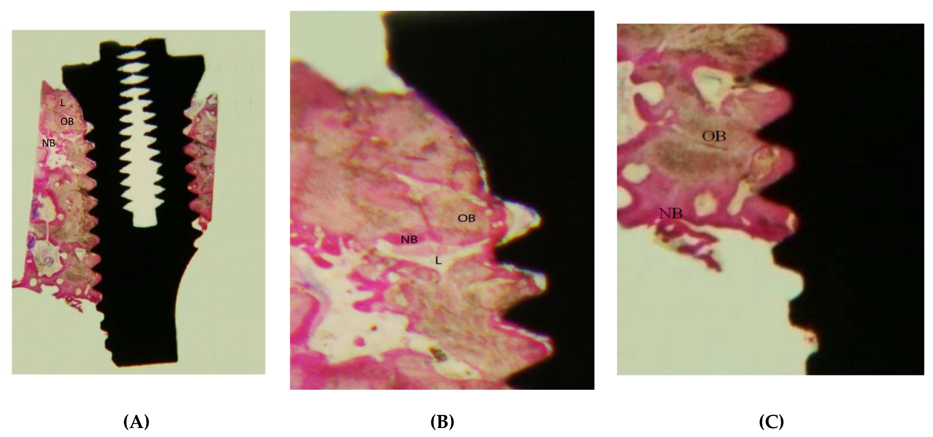 Bioengineering 09 00145 g005 550