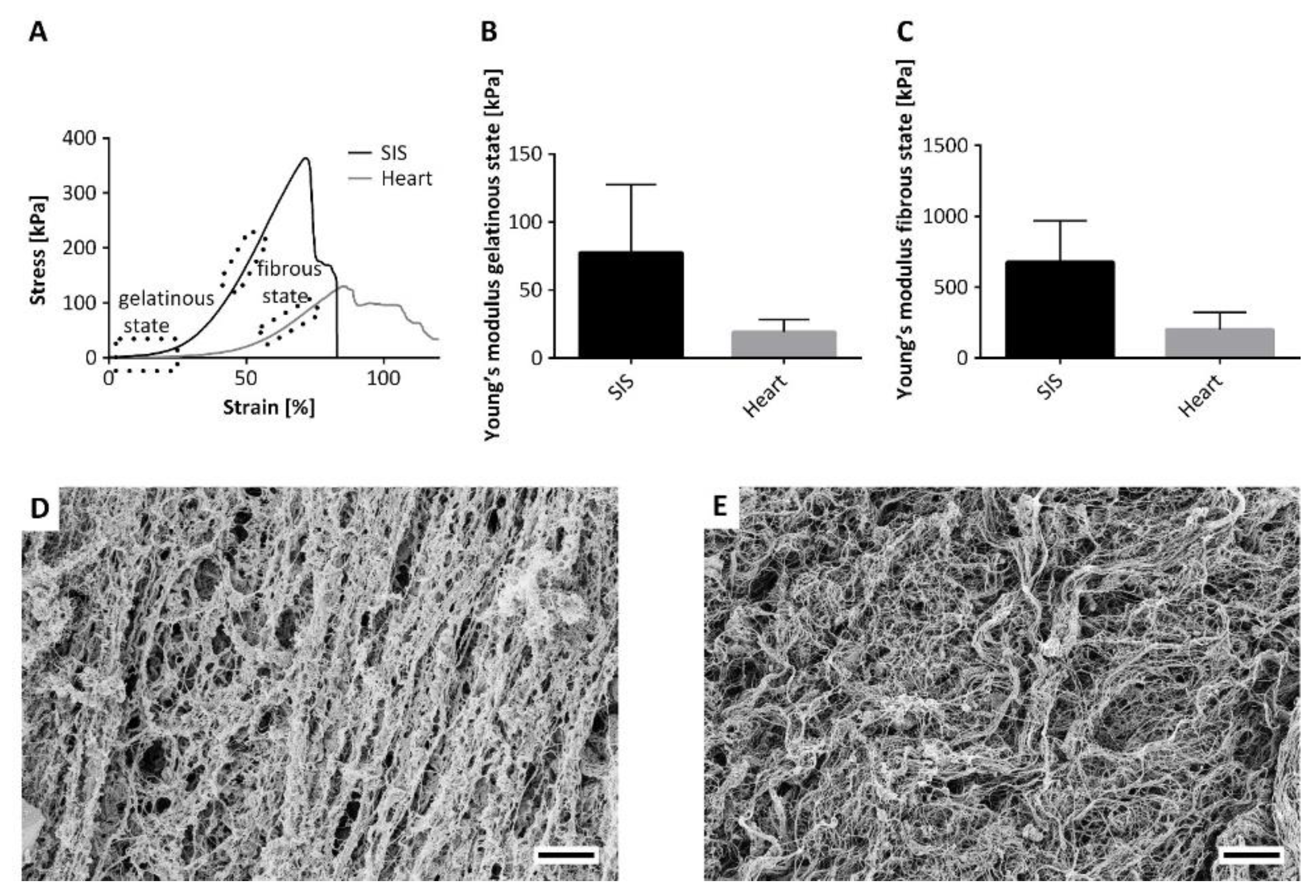 Bioengineering 09 00147 g002 550